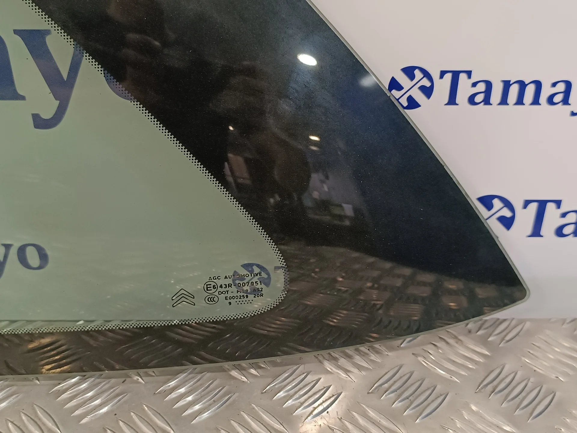 Luna Custodia Trasera Izquierda para Citroën Ds3