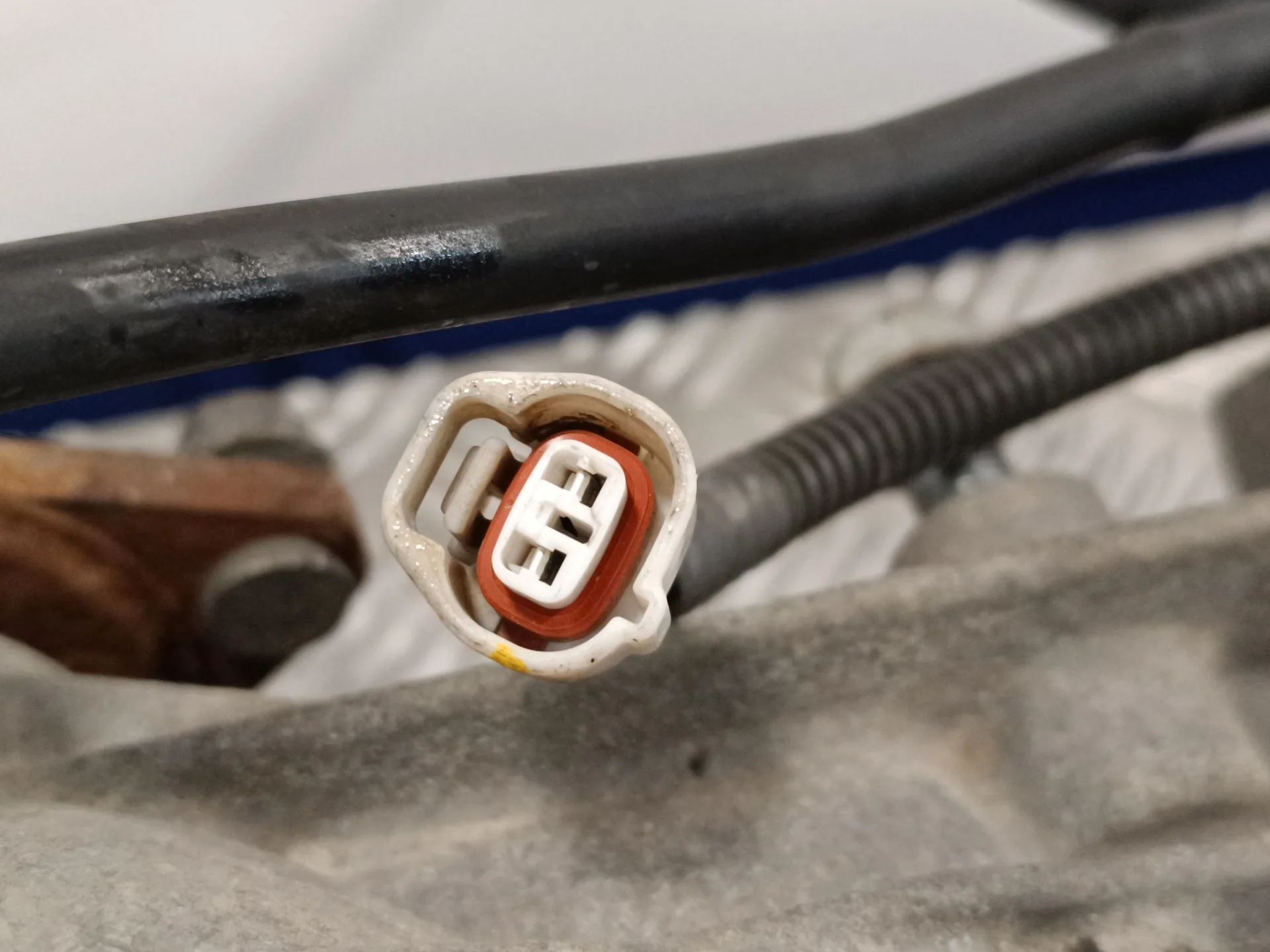 Diferencial Trasero para Suzuki Sx4 Rw (Ey)