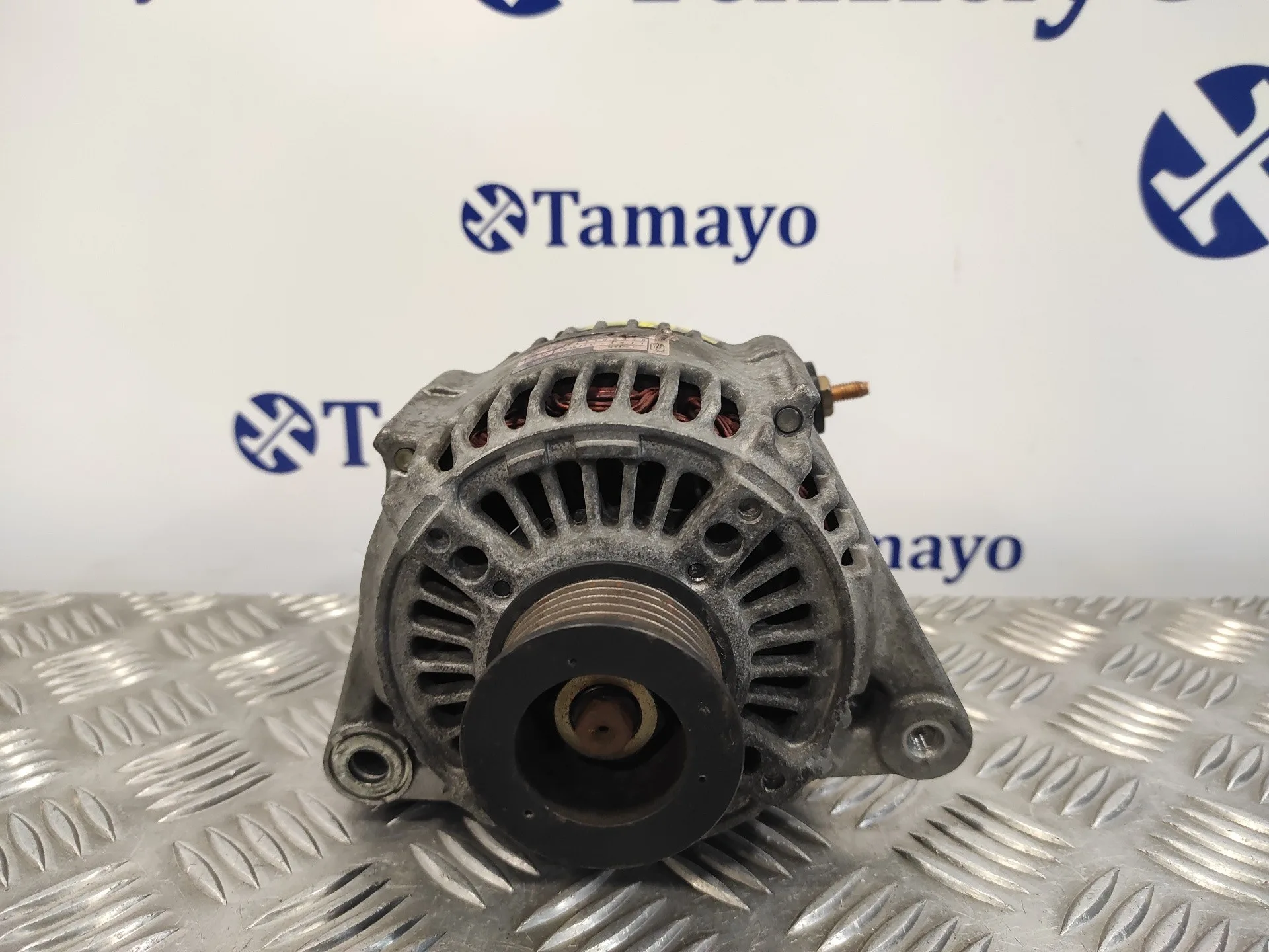 Alternador para Mg Serie 75 (Rj)