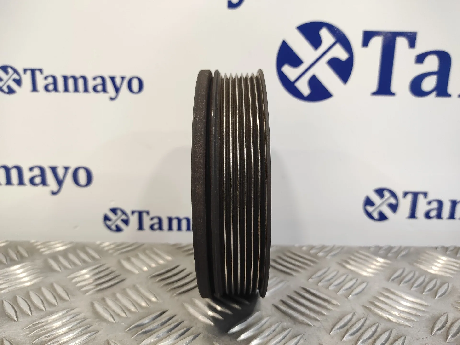 Polea Ciguenal para Renault Trafic Caja Cerrada (Ab 4.01)