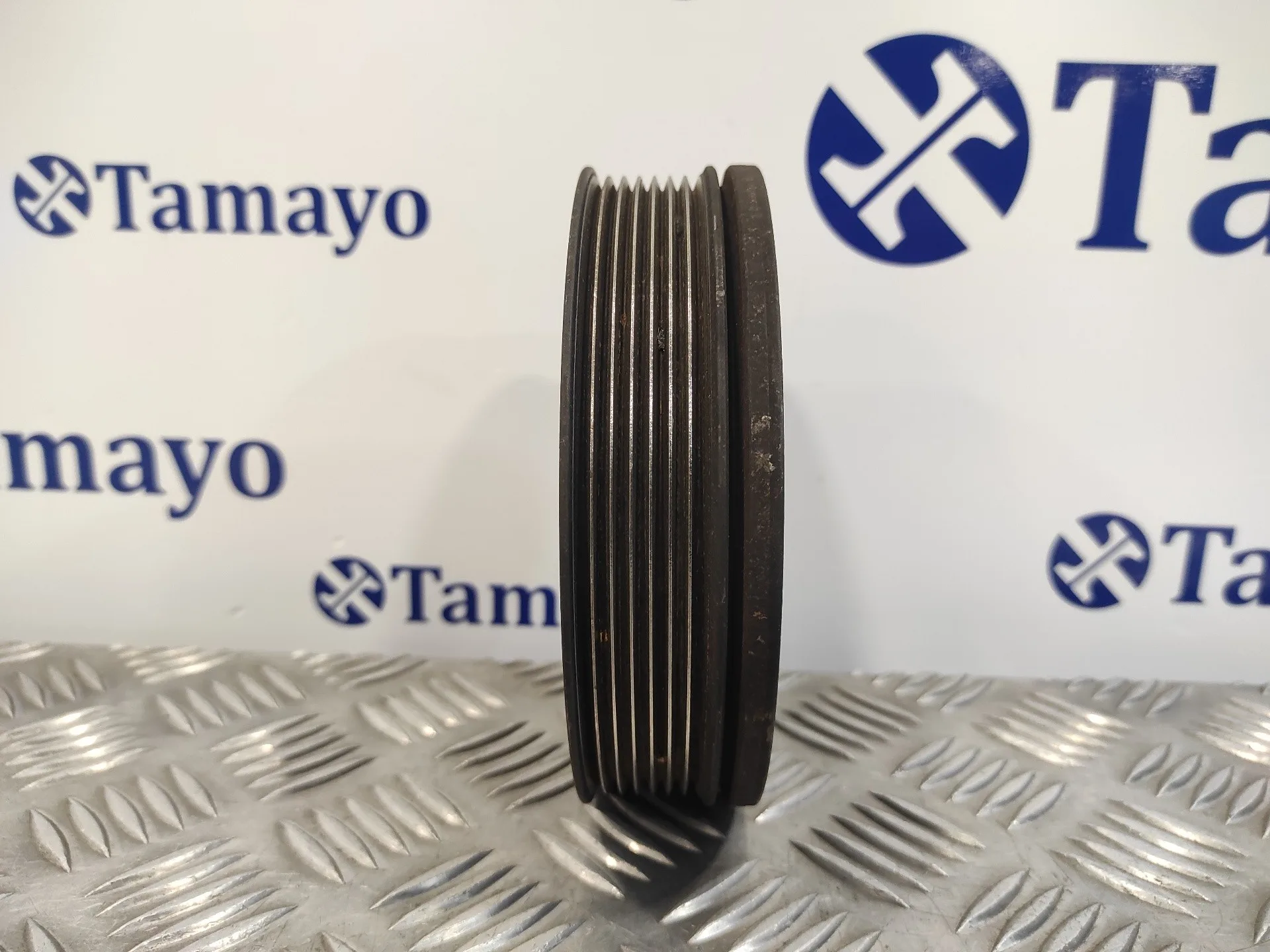 Polea Ciguenal para Renault Trafic Caja Cerrada (Ab 4.01)