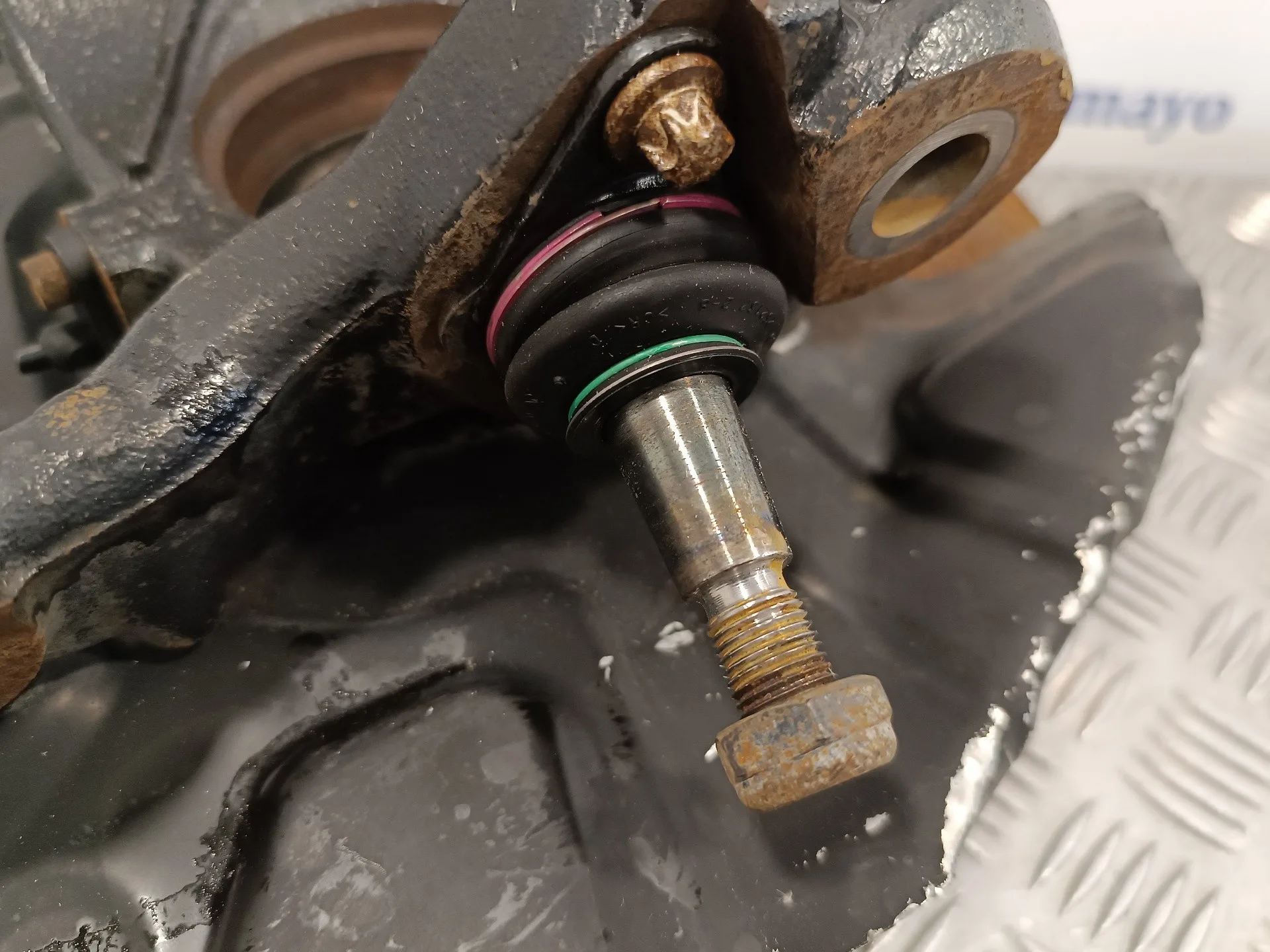 Mangueta Delantera Derecha para Bmw X3 (E83)