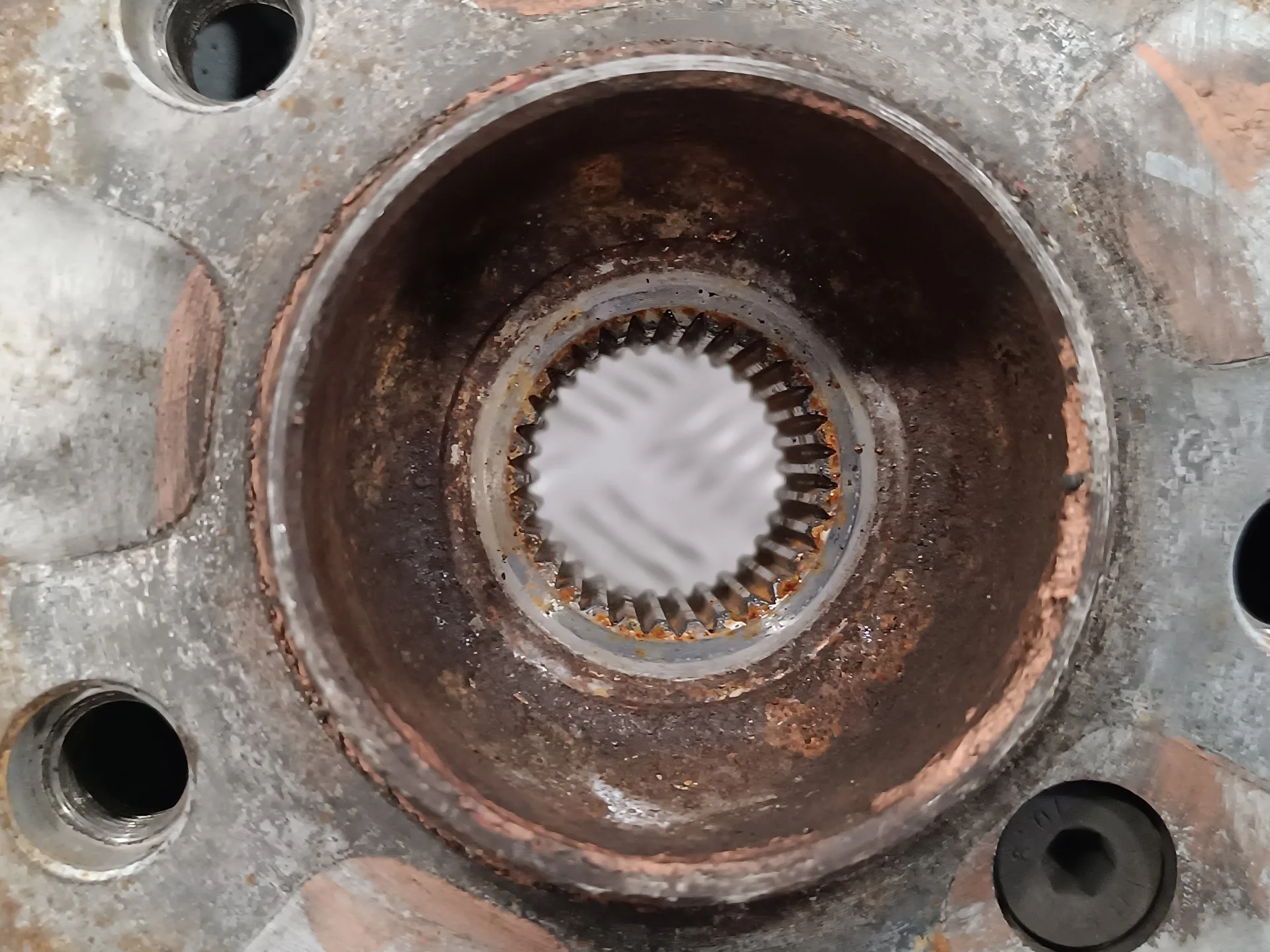 Mangueta Delantera Derecha para Bmw X3 (E83)