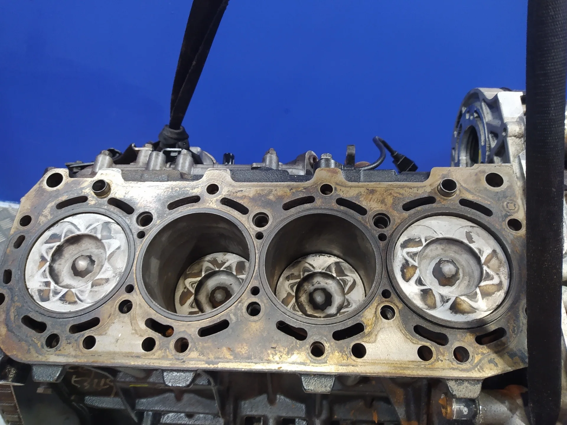 Bloque para Kia Carnival