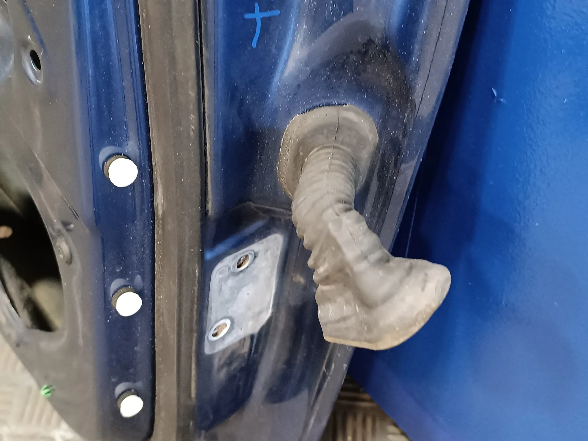 Puerta Trasera Izquierda para Audi A4 Berlina (8E)