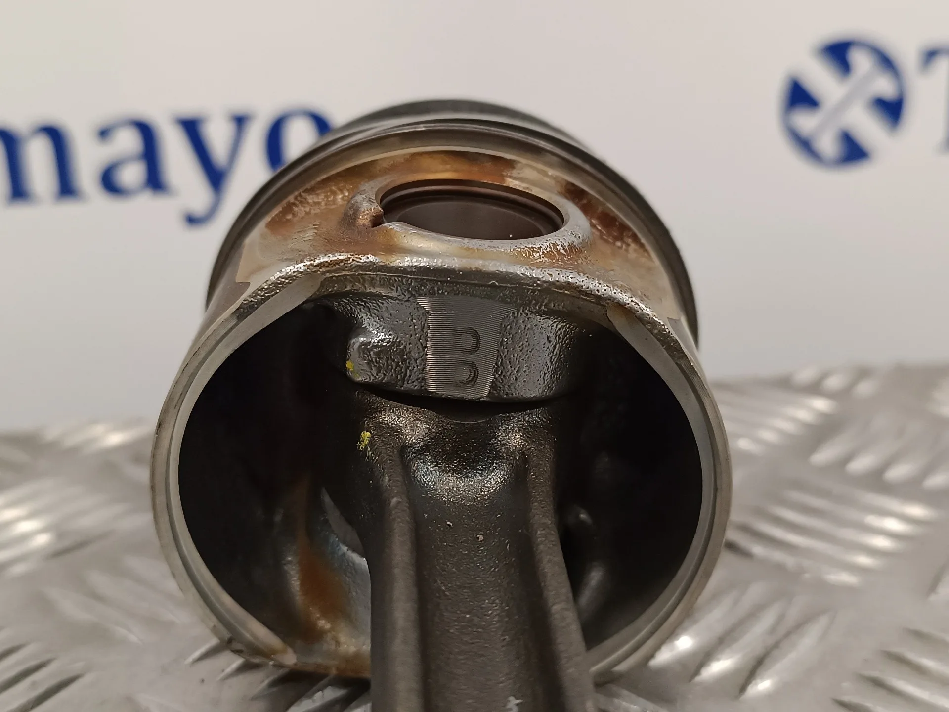 Biela para Seat Altea Xl (5P5)