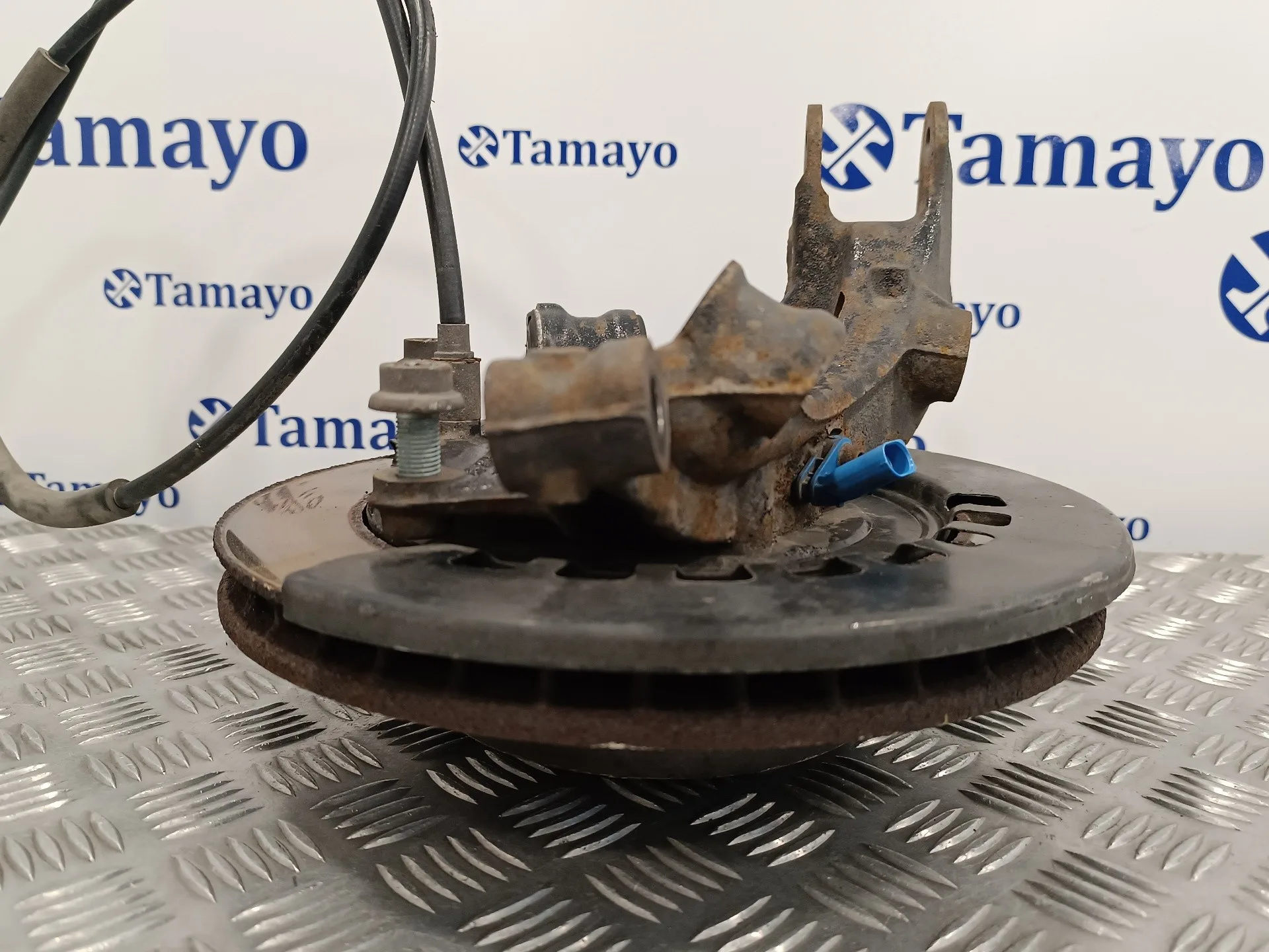 Mangueta Trasera Izquierda para Porsche Cayenne (Typ 9Pa)