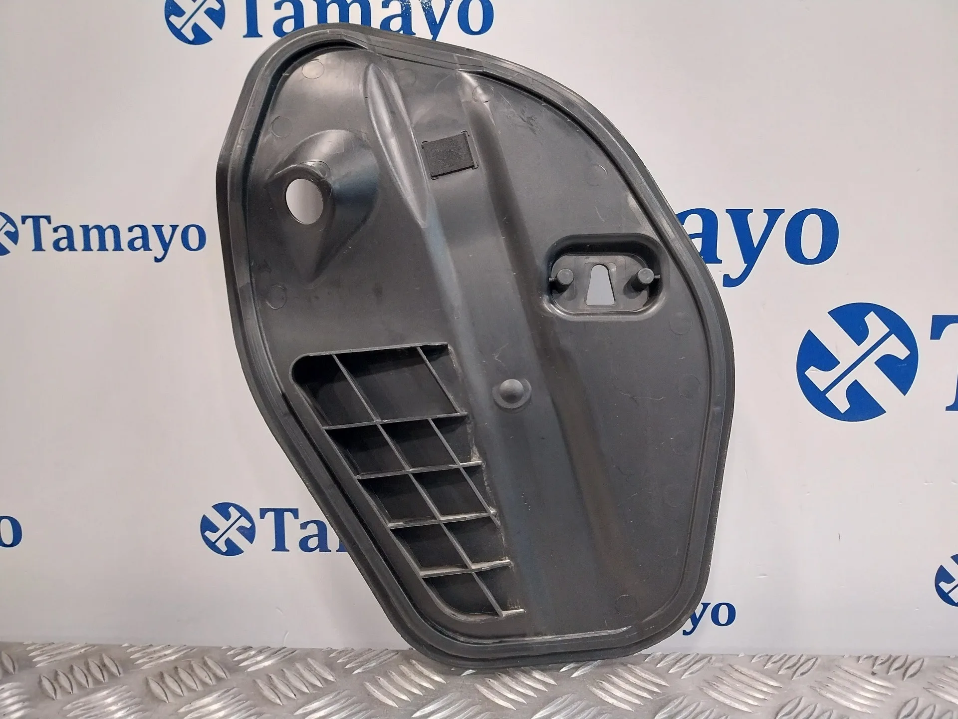 Moldura para Volkswagen Polo (6R1)