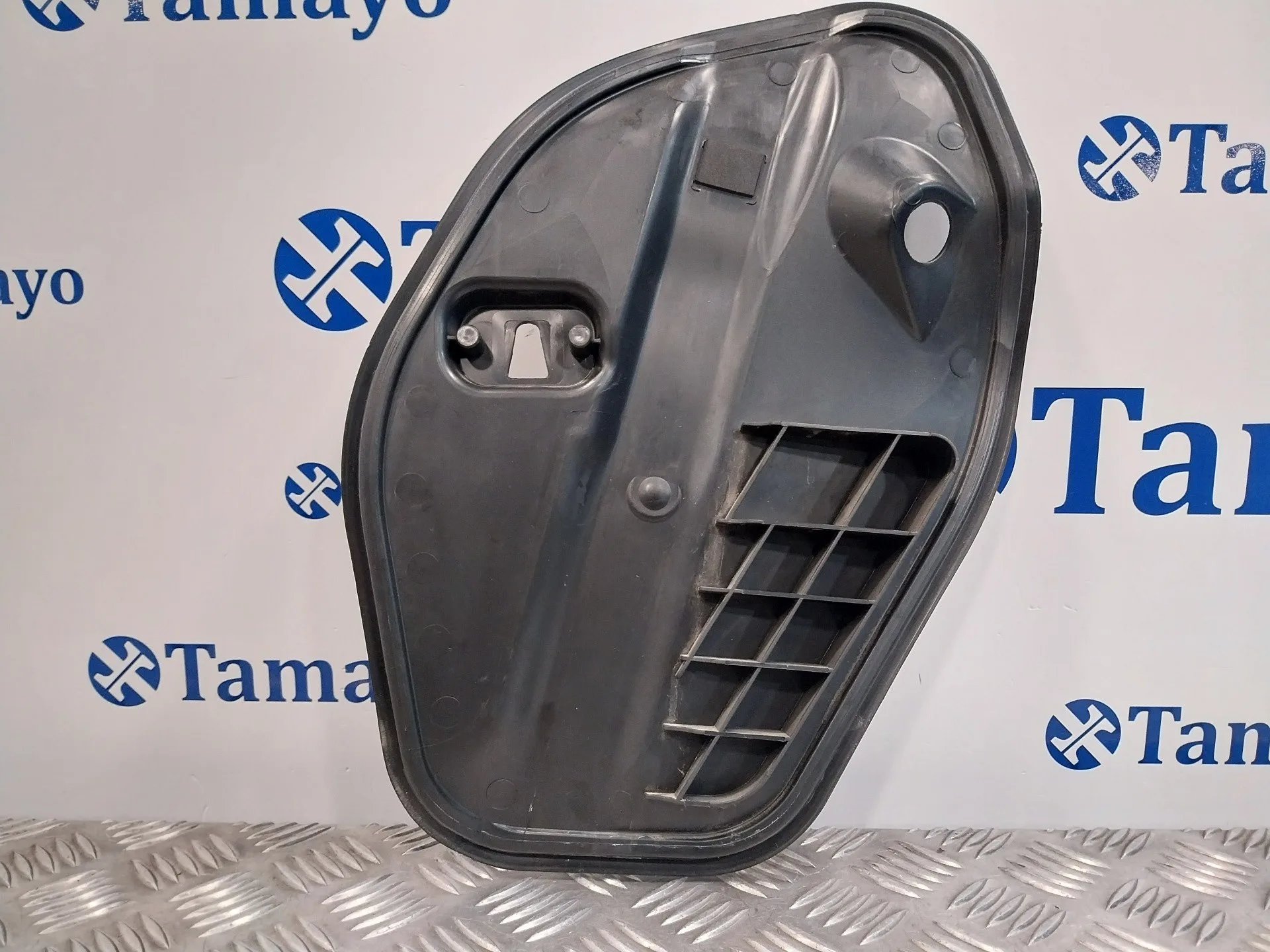 Moldura para Volkswagen Polo (6R1)