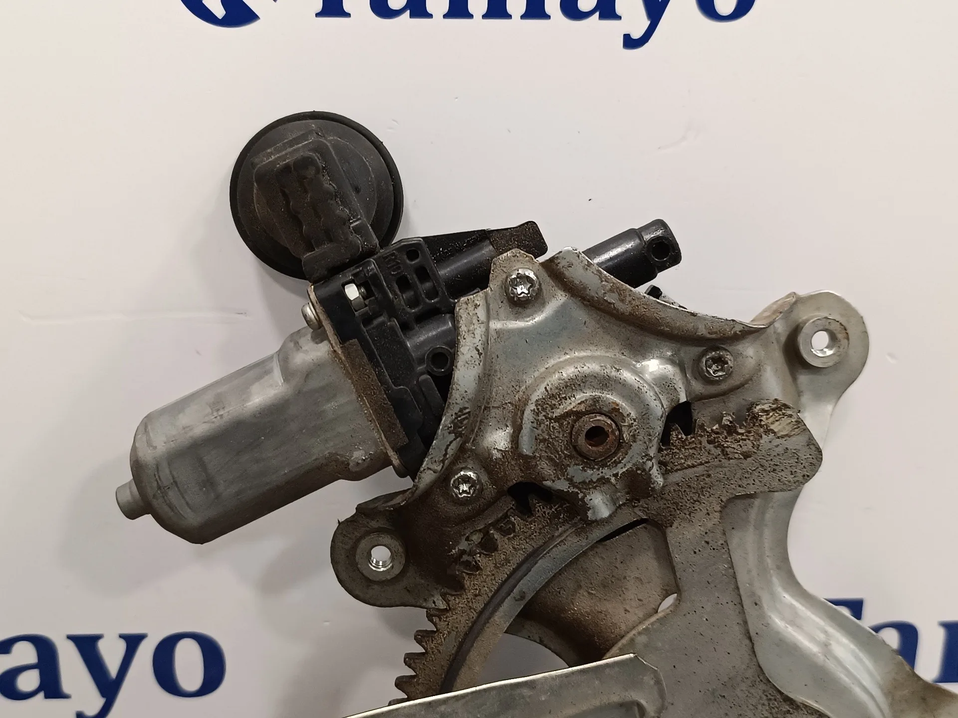 Elevalunas Trasero Izquierdo para Toyota Rav 4 (A3)