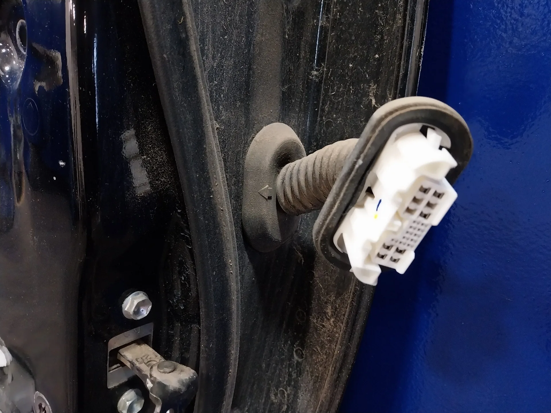 Puerta Trasera Izquierda para Toyota Rav 4 (A3)