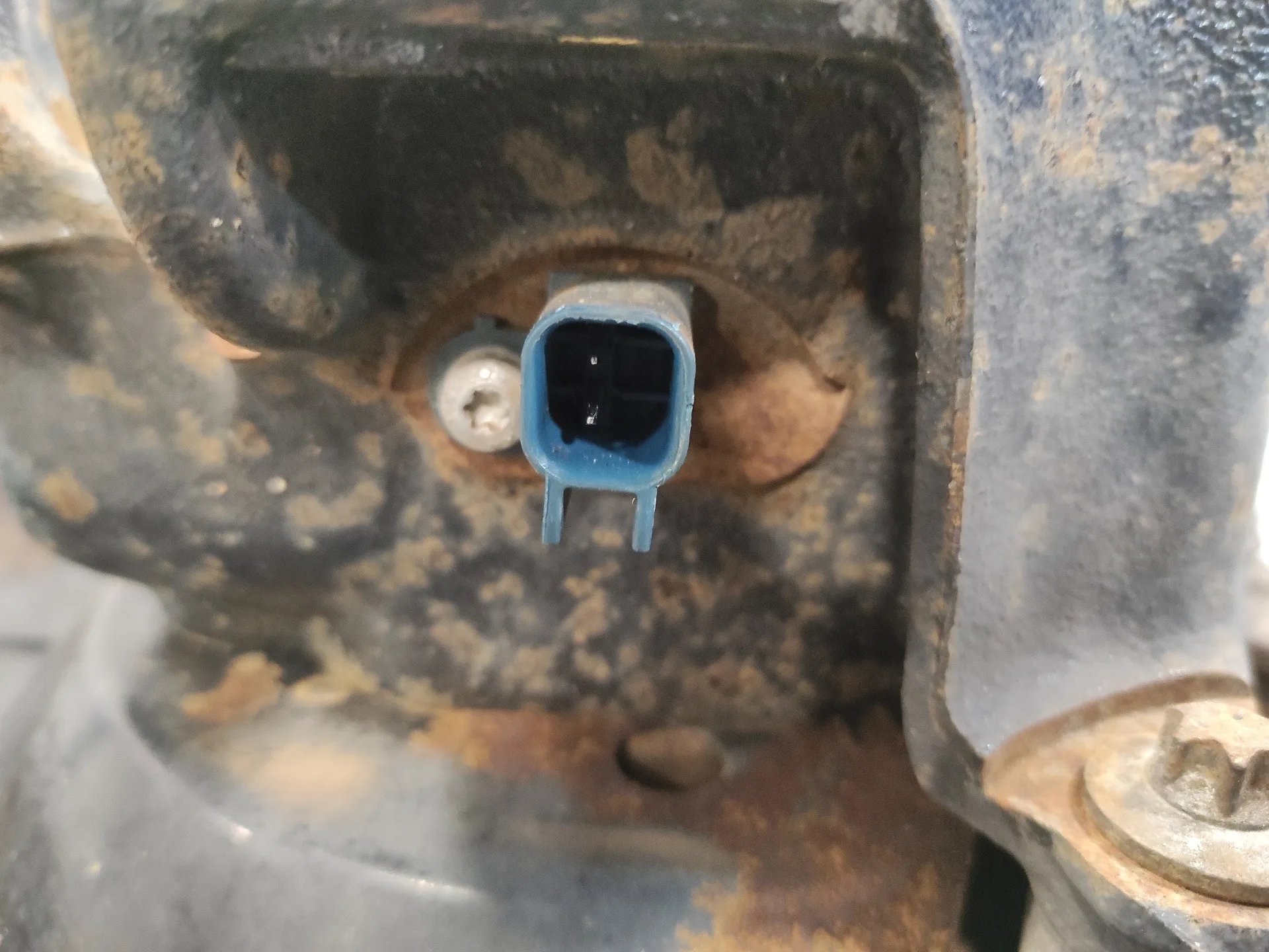 Mangueta Trasera Izquierda para Ford Kuga (Cbs)