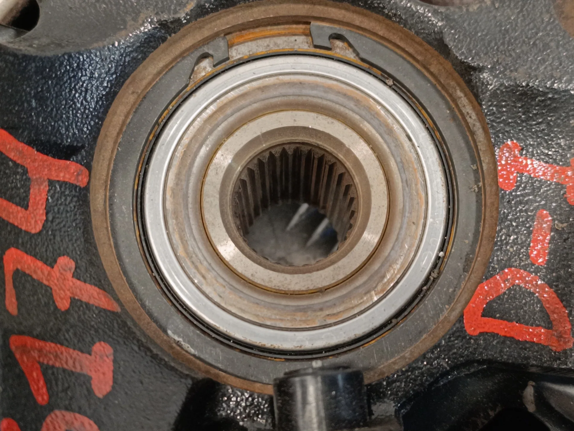 Mangueta Delantera Izquierda para Hyundai Elantra (Xd)