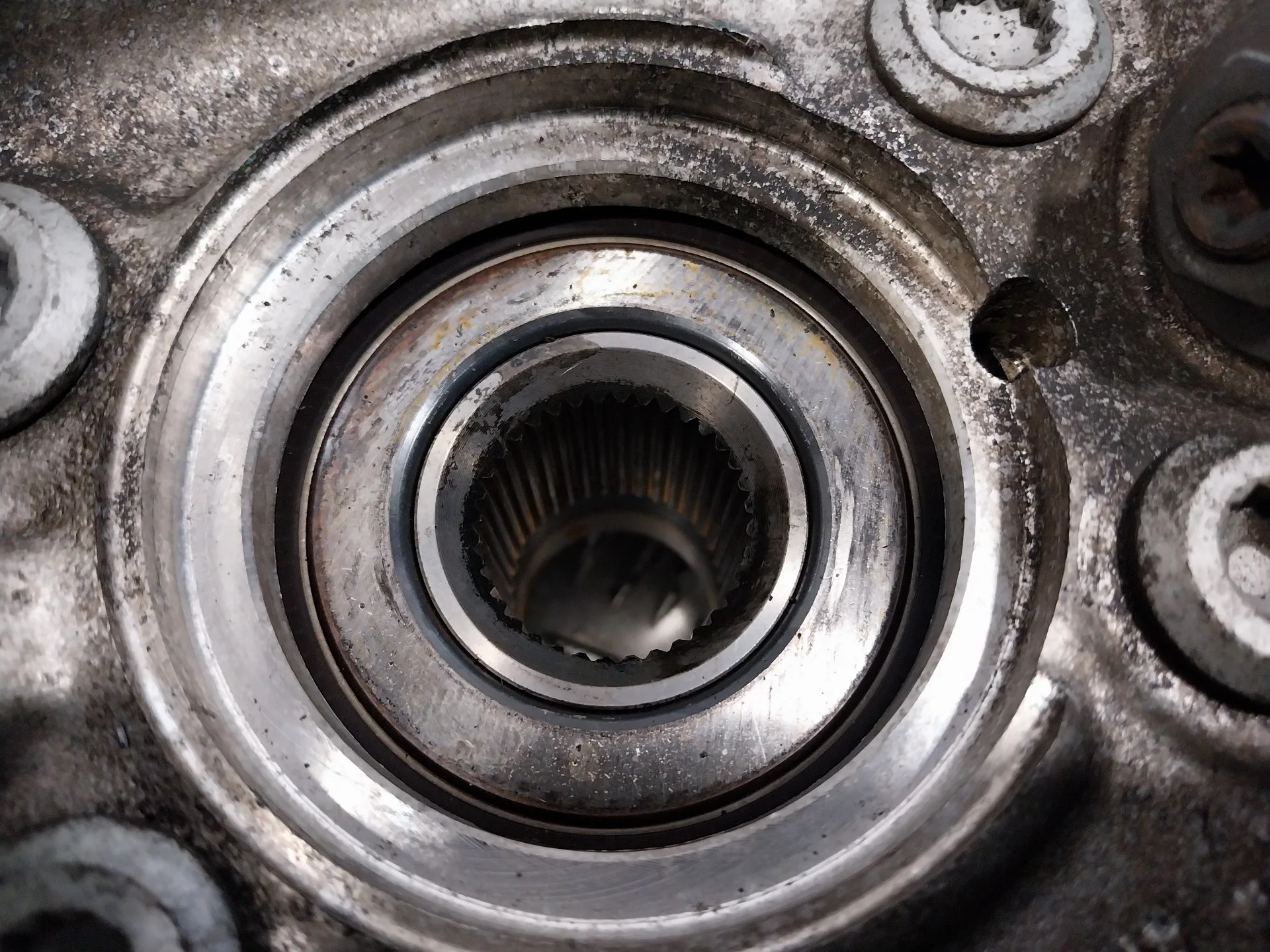 Mangueta Delantera Izquierda para Volkswagen Passat Variant (365)