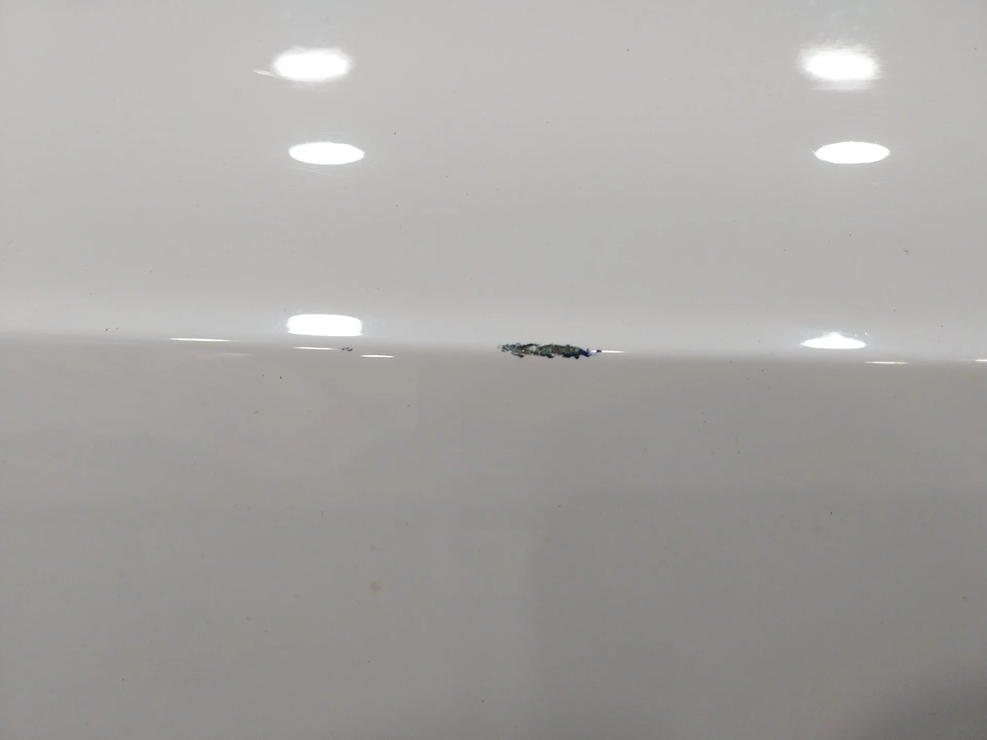 Puerta Delantera Izquierda para Audi A5 Coupe (8T)