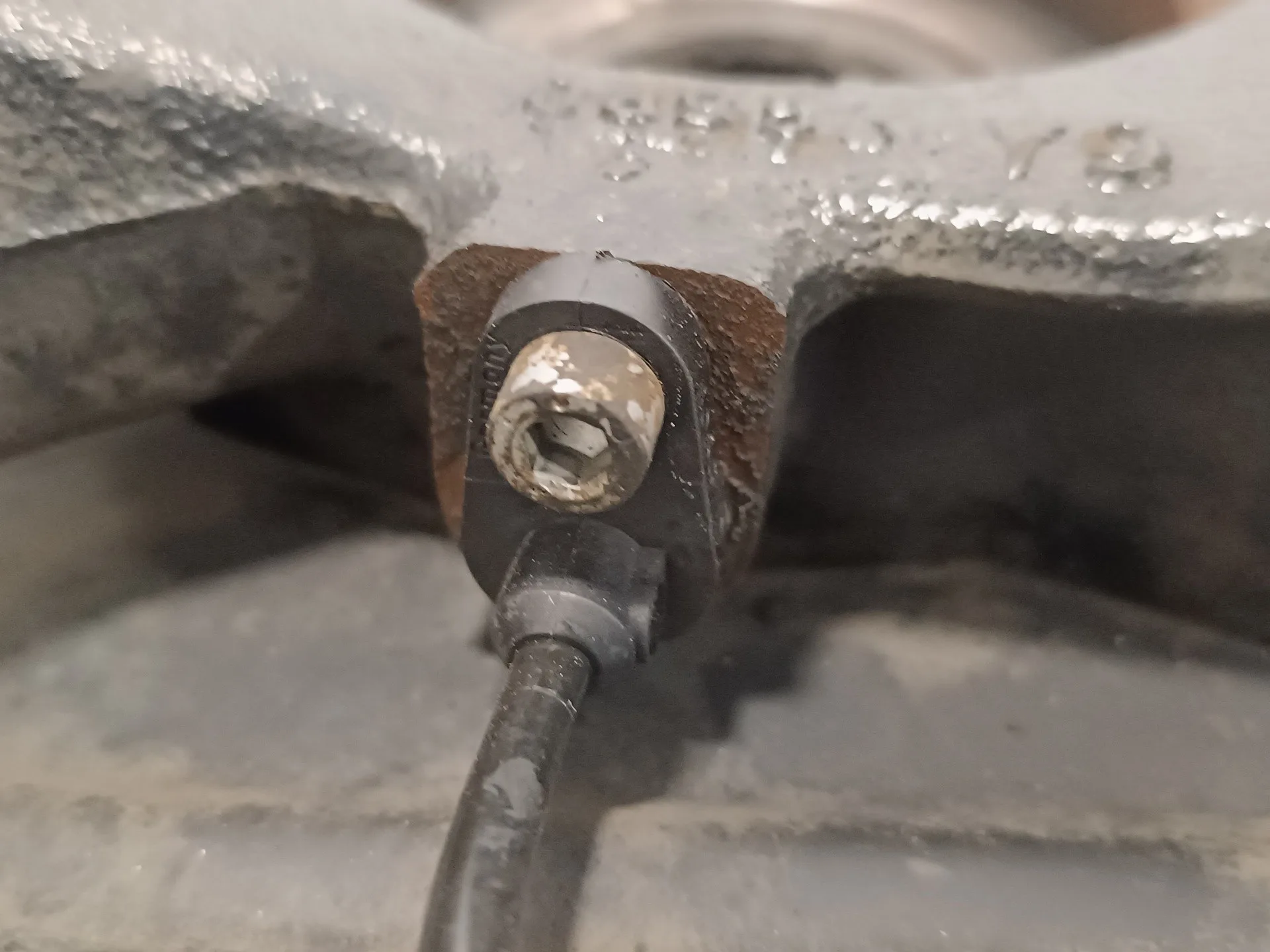 Mangueta Delantera Izquierda para Bmw X3 (E83)