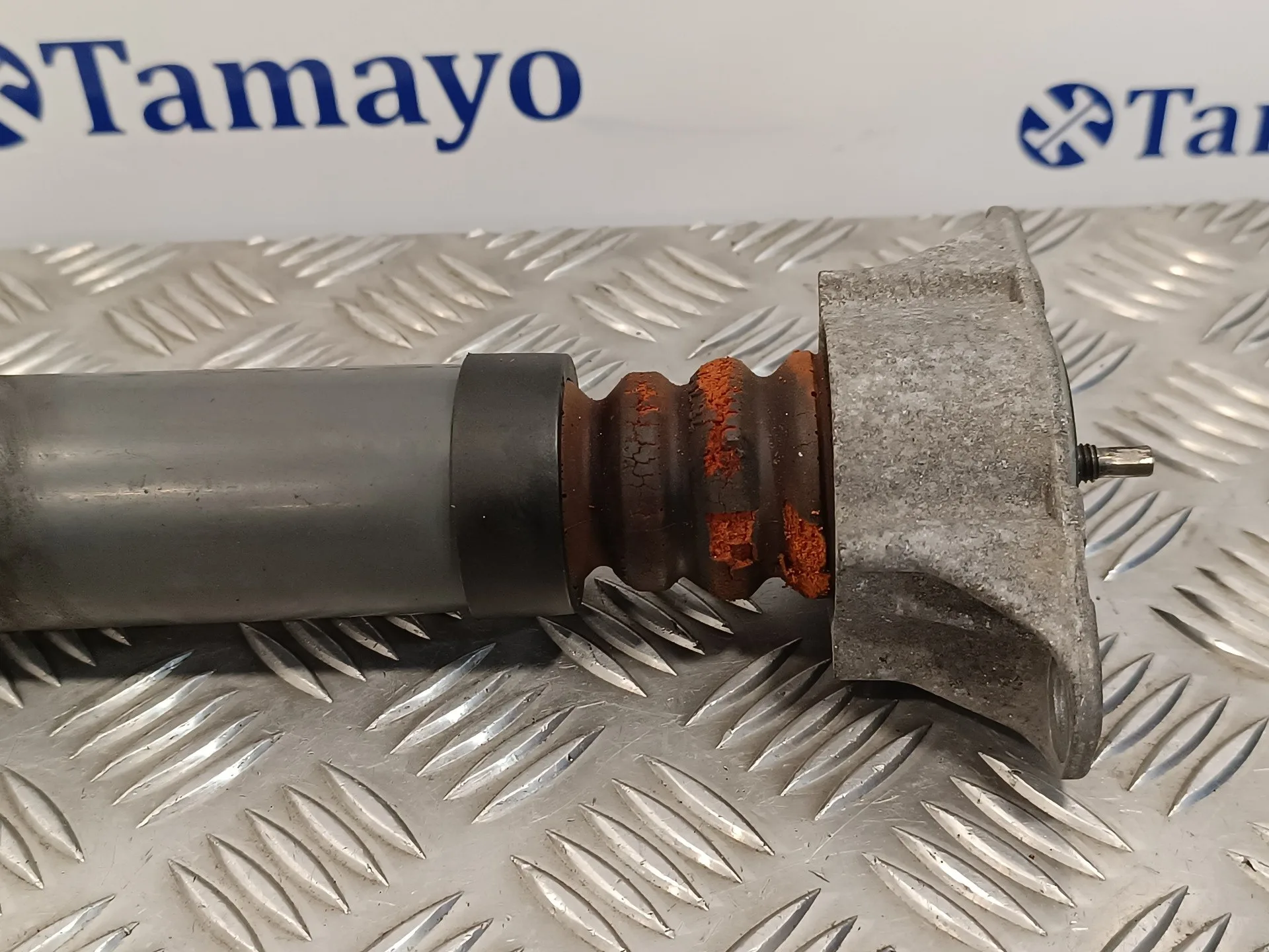 Amortiguador Trasero Derecho para Ford Focus Berlina (Cap)