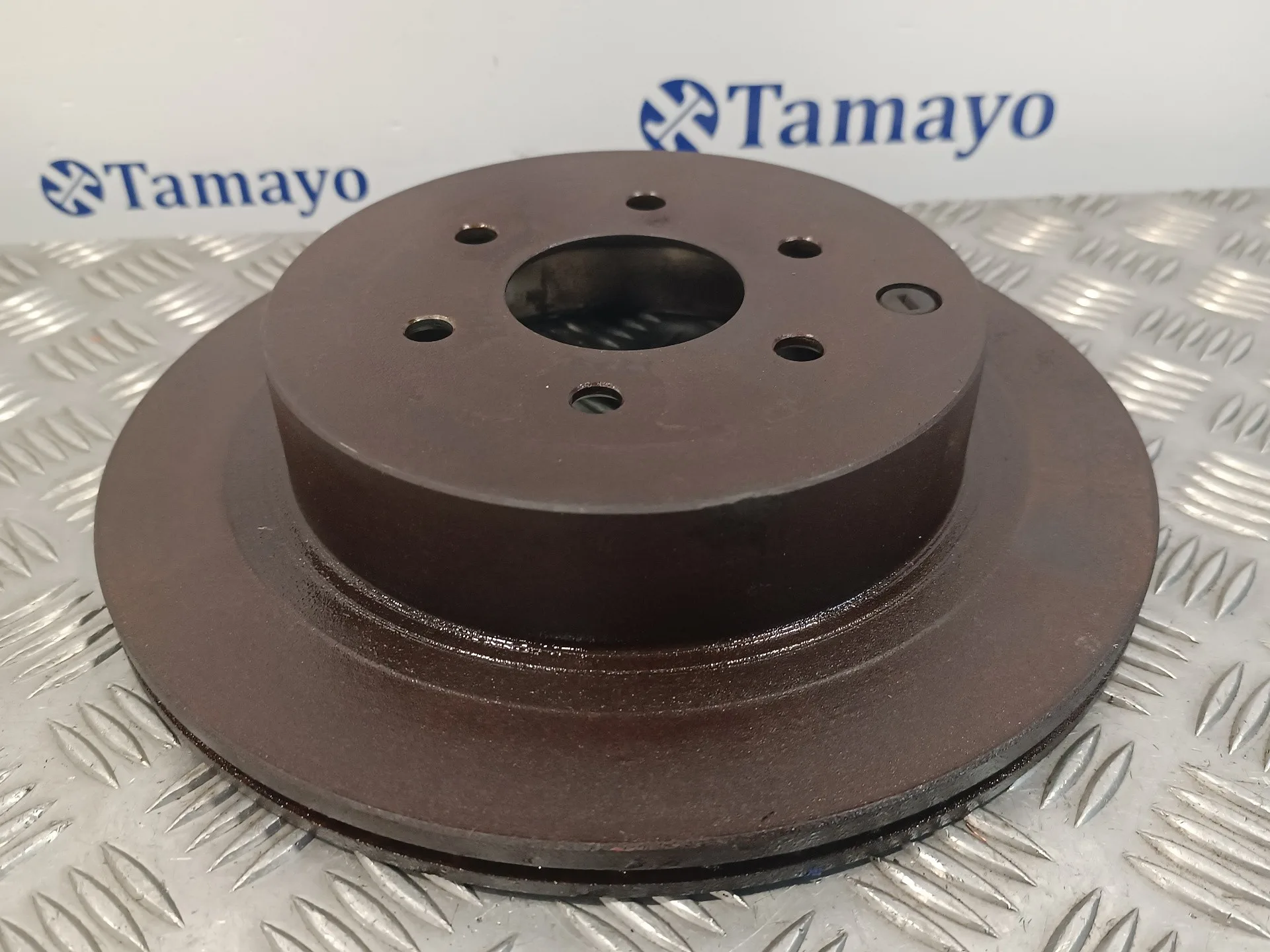 Disco Freno Trasero para Nissan Pathfinder (R51)