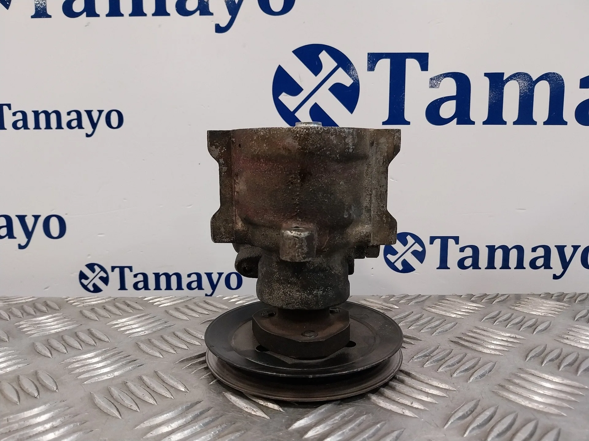 Bomba Servodireccion para Seat Ibiza (6K)