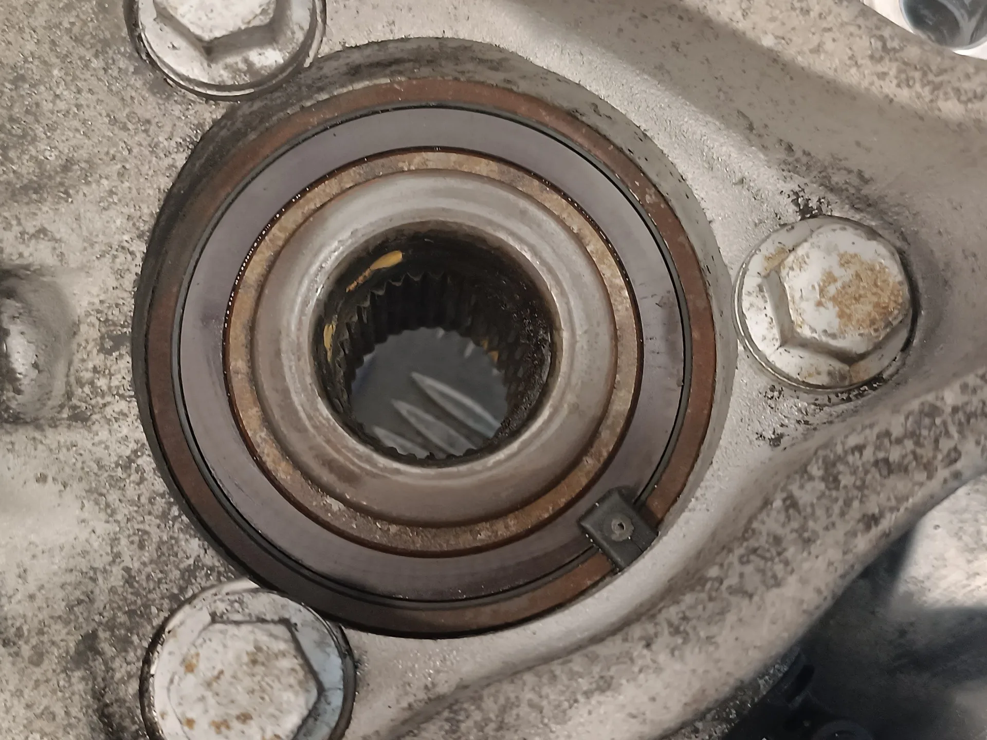 Mangueta Delantera Derecha para Opel Insignia Berlina