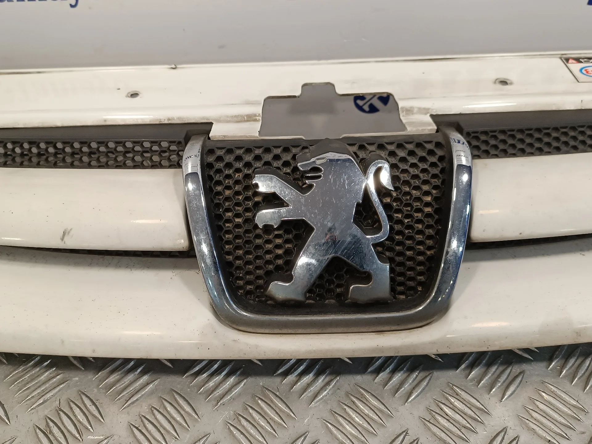 Rejilla Delantera para Peugeot Partner (S1)