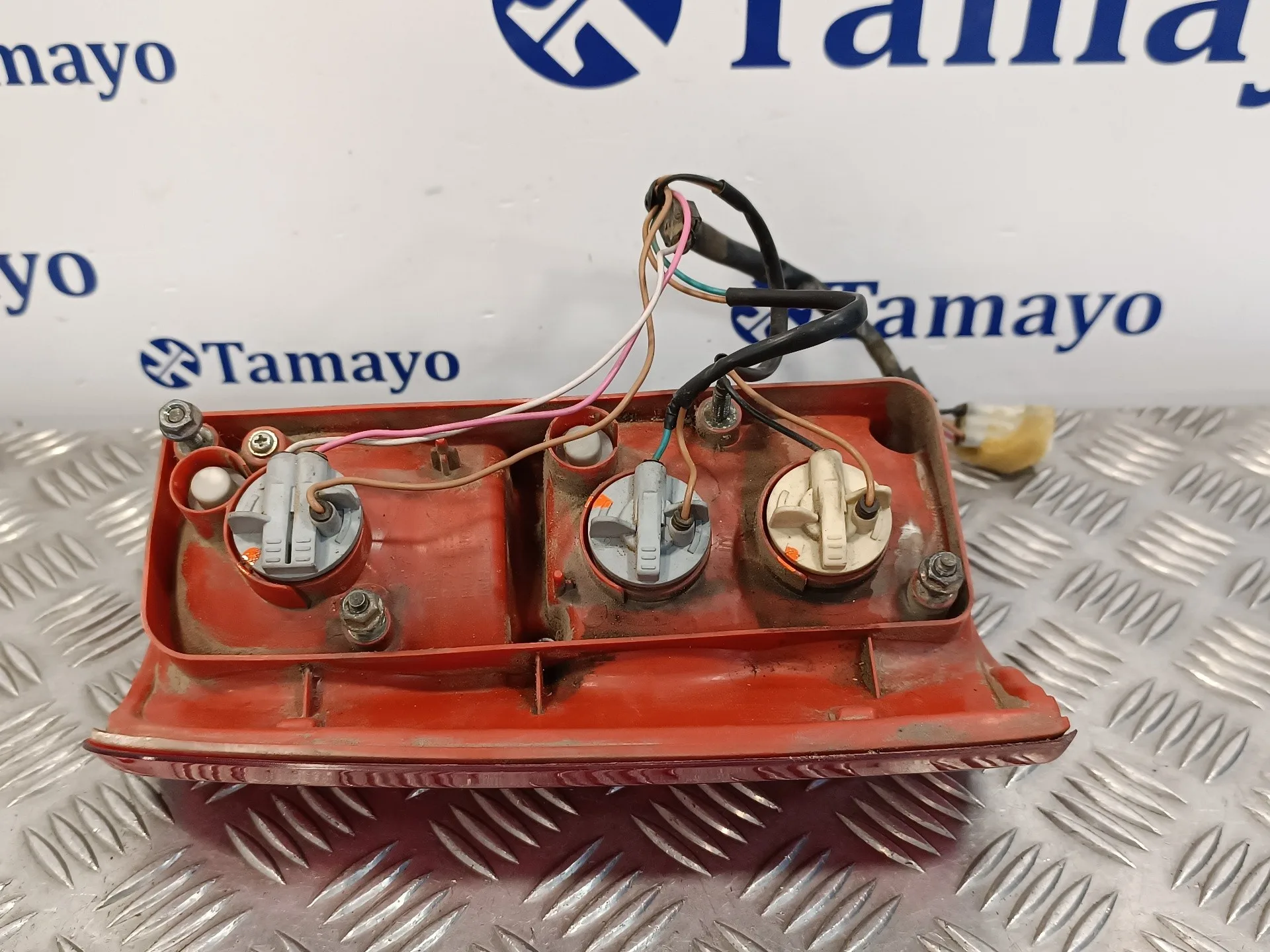 Piloto Trasero Derecho para Tata Safari (42_Fd)