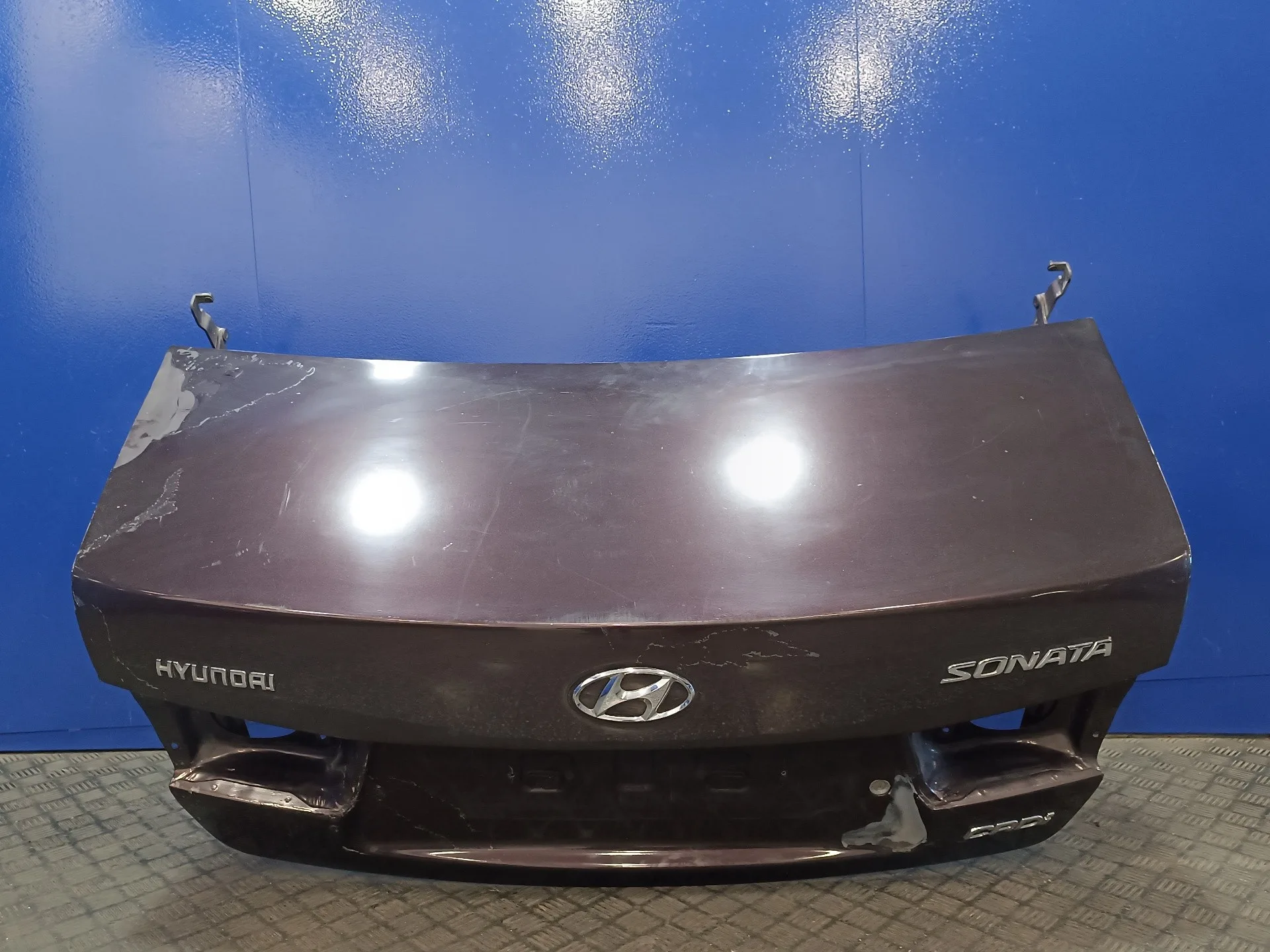 Porton Trasero para Hyundai Sonata (Nf)
