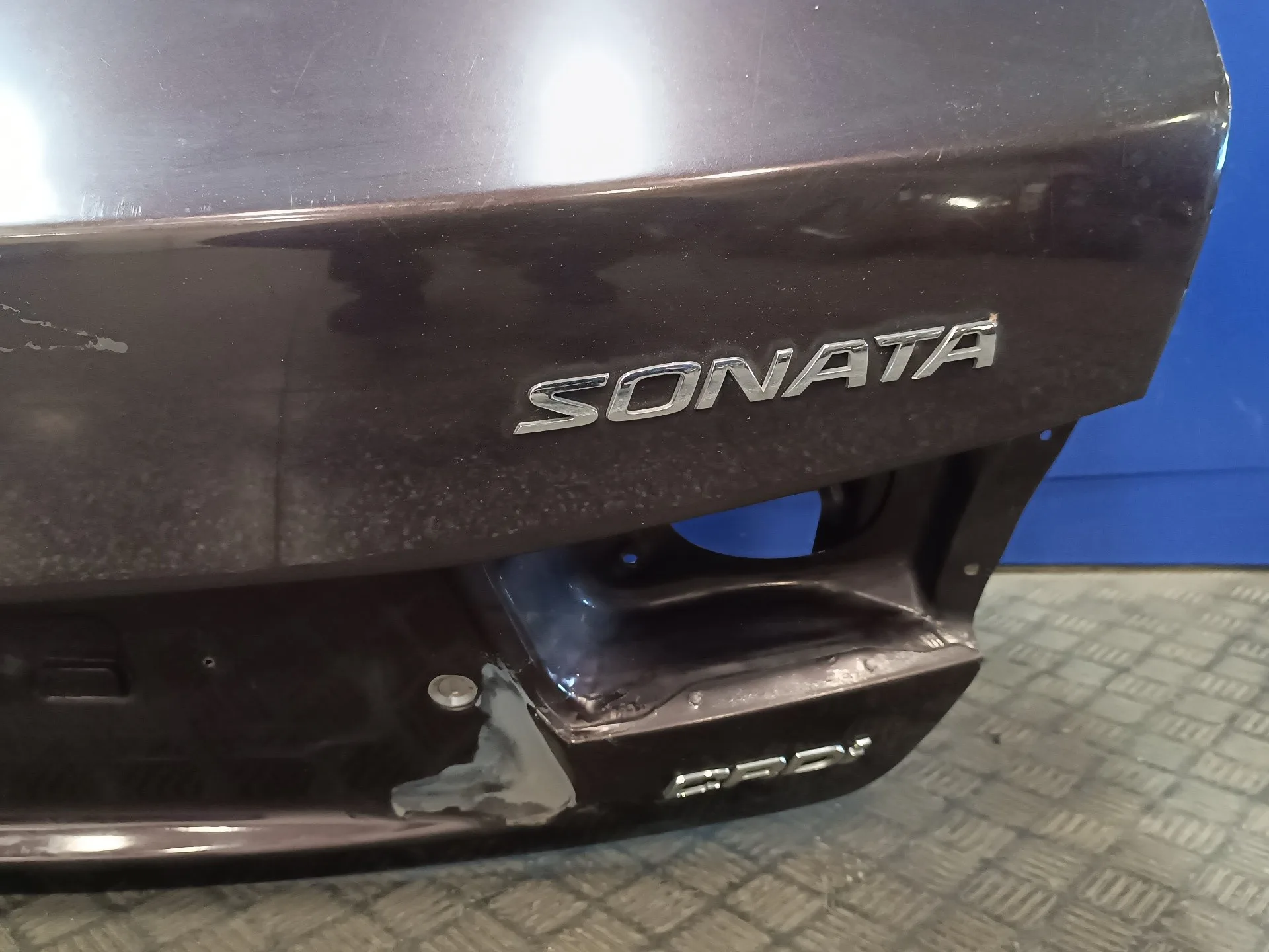 Porton Trasero para Hyundai Sonata (Nf)