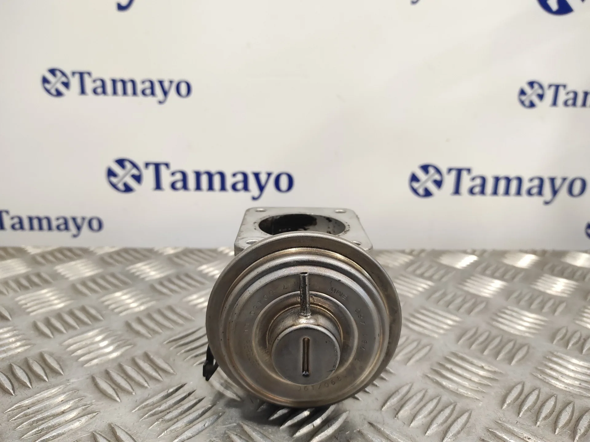 Valvula Egr para Bmw X3 (E83)