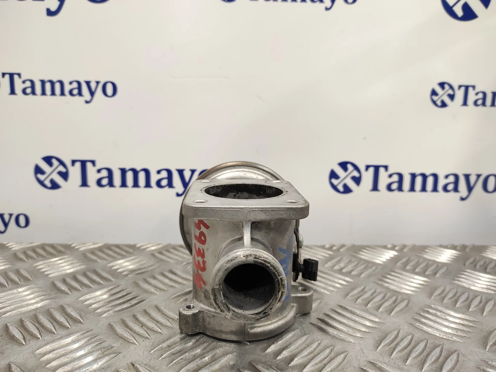 Valvula Egr para Bmw X3 (E83)