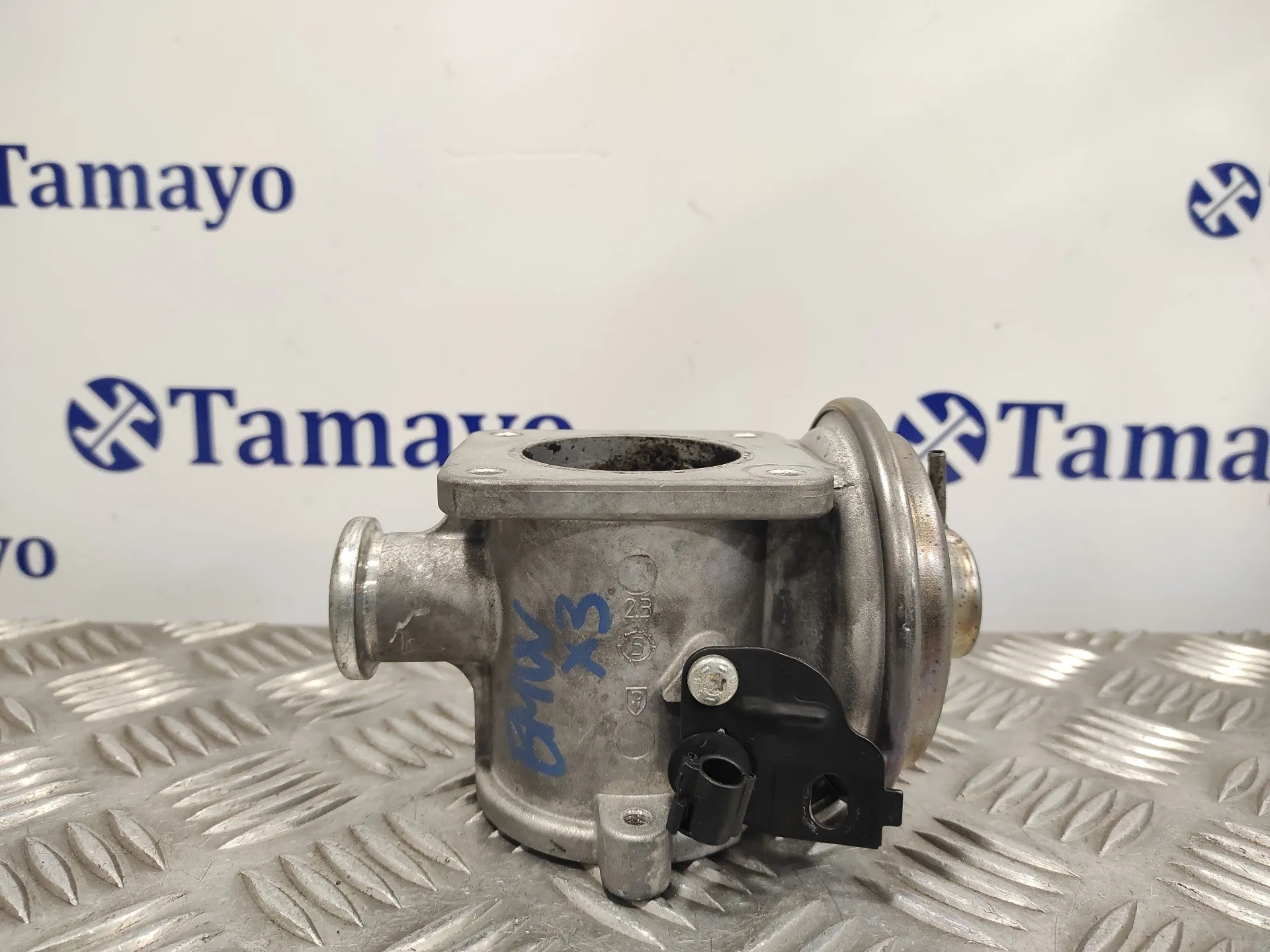Valvula Egr para Bmw X3 (E83)