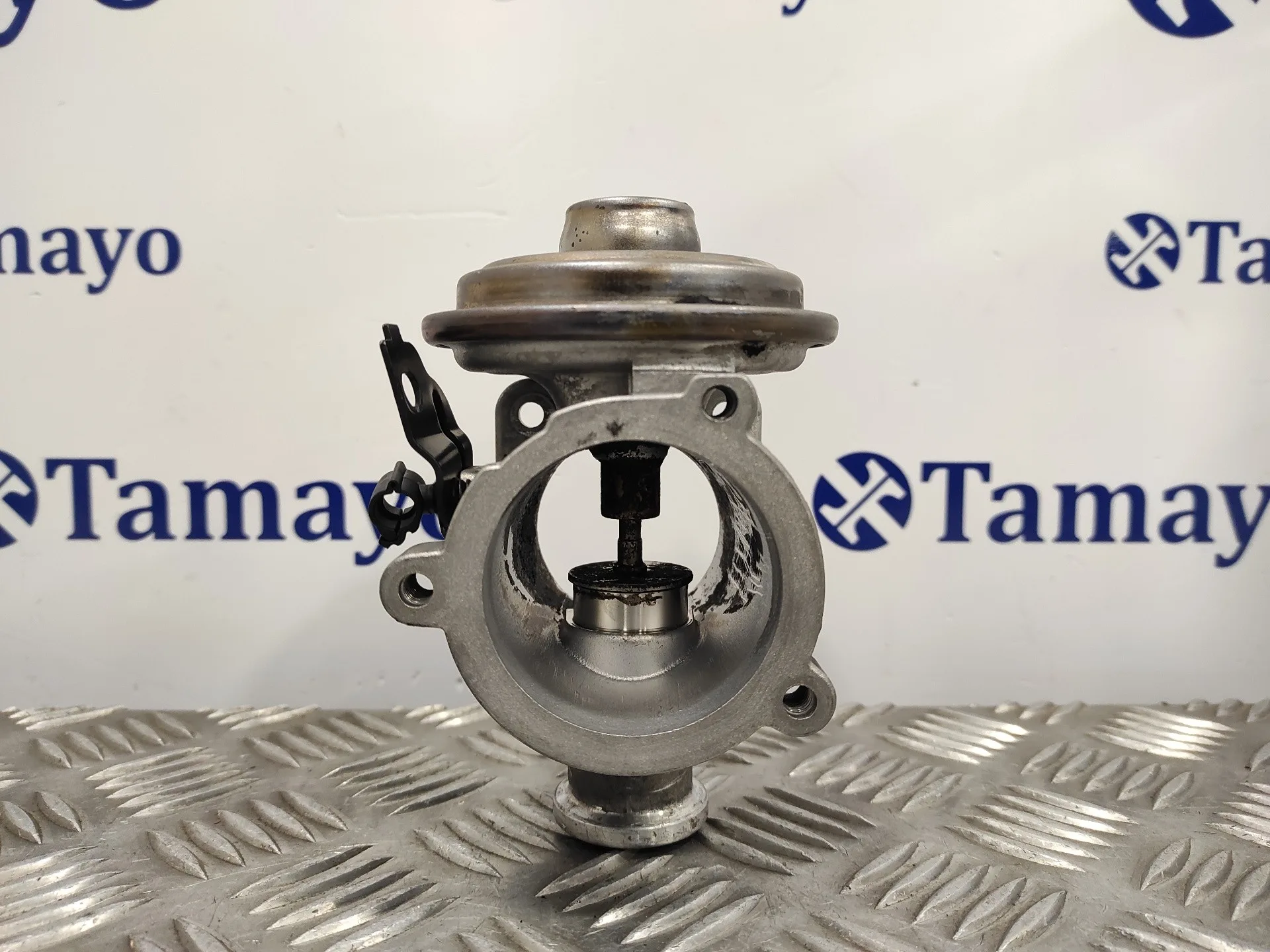 Valvula Egr para Bmw X3 (E83)