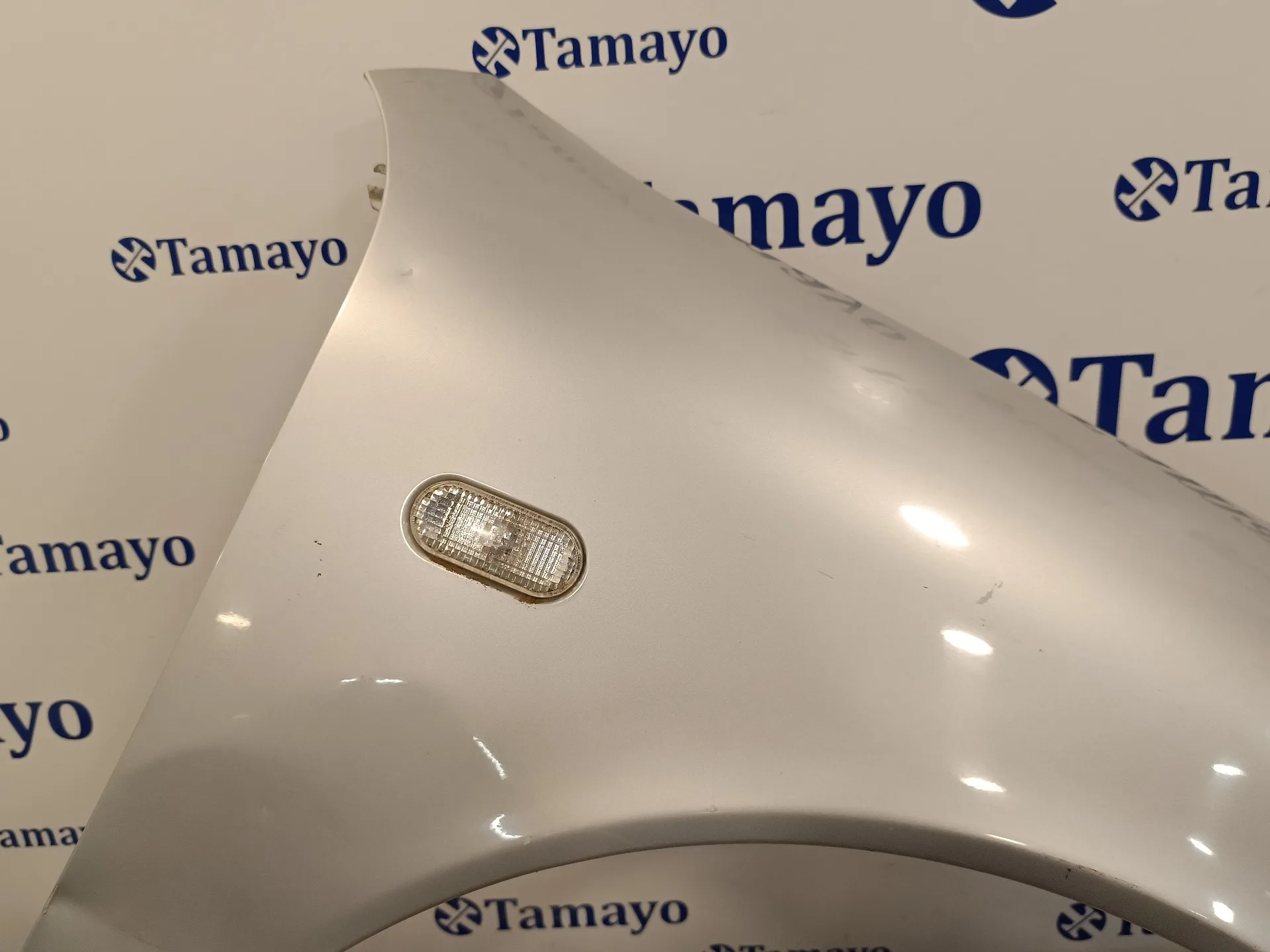 Aleta Delantera Derecha para Seat Toledo (1M2)