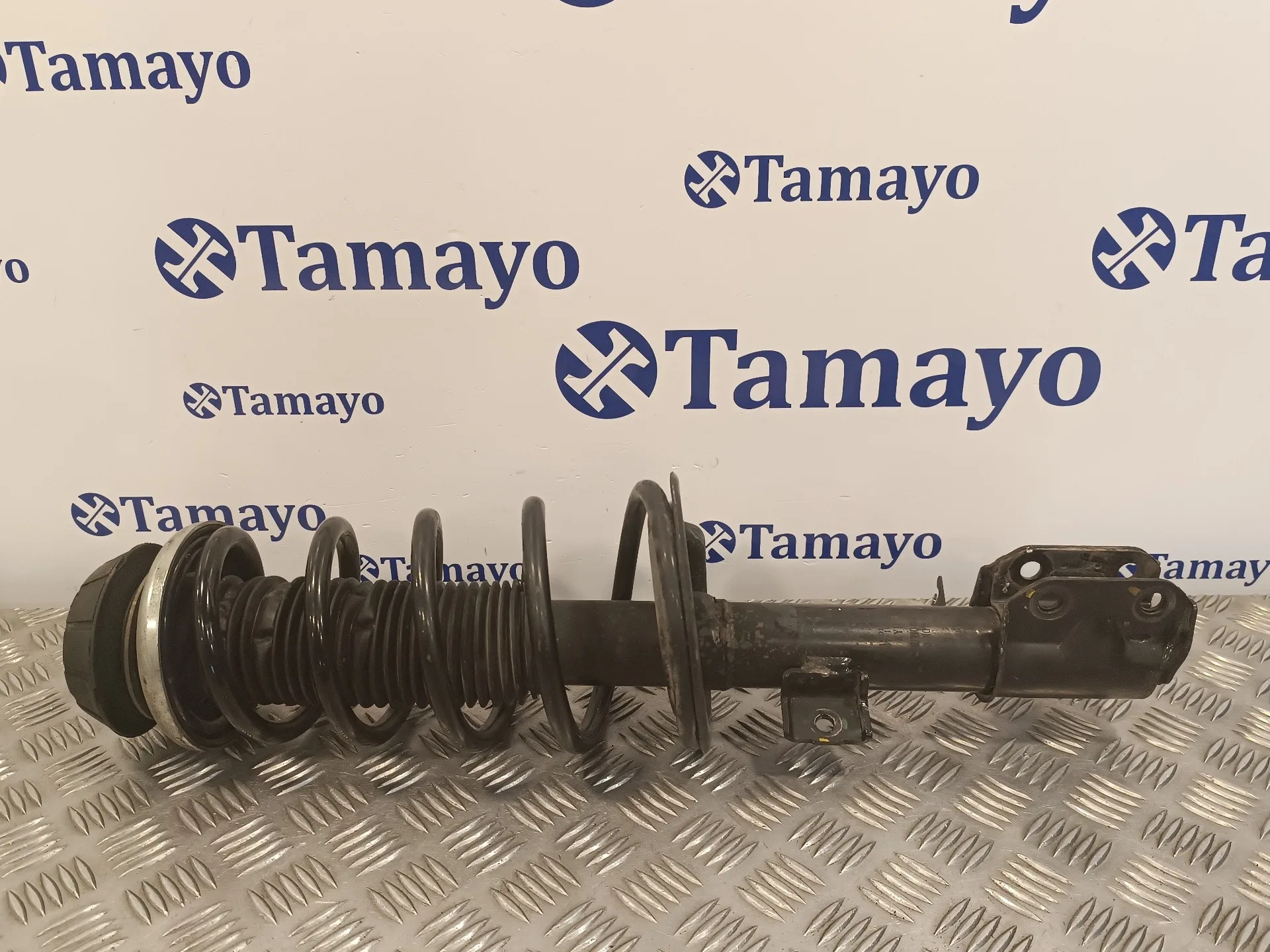 Amortiguador Delantero Derecho para Suzuki Sx4 Rw (Ey)