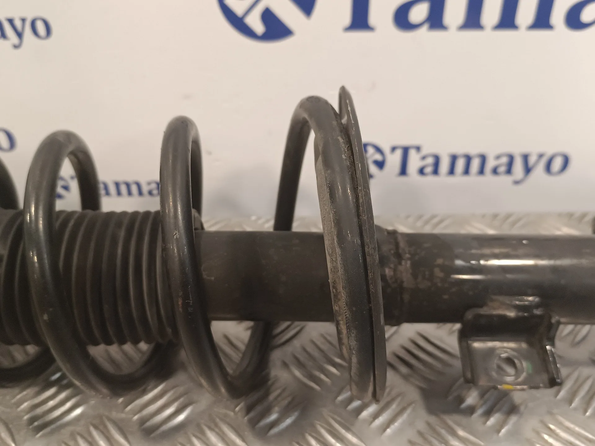Amortiguador Delantero Derecho para Suzuki Sx4 Rw (Ey)