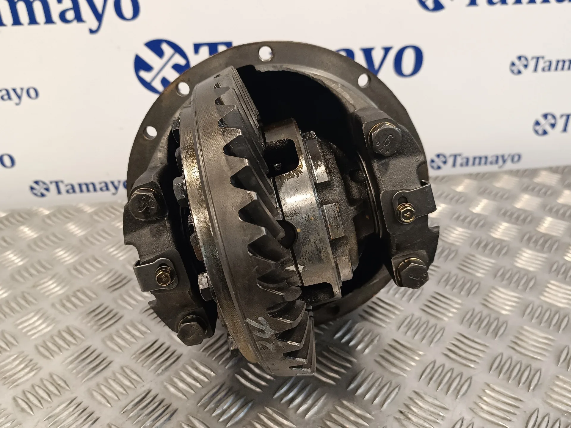 Diferencial Trasero para Nissan Terrano/Terrano.ii (R20)