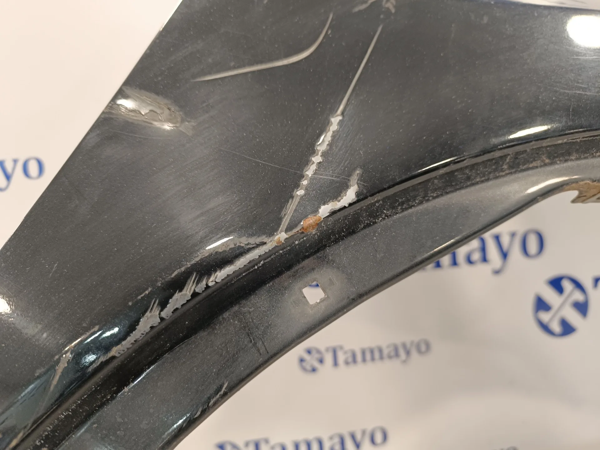 Aleta Delantera Derecha para Honda Civic Berlina 5 (Fk)