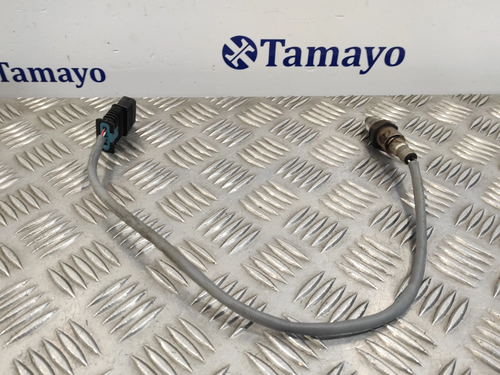 Sonda Lambda para Bmw Serie 3 Lim. (F30)