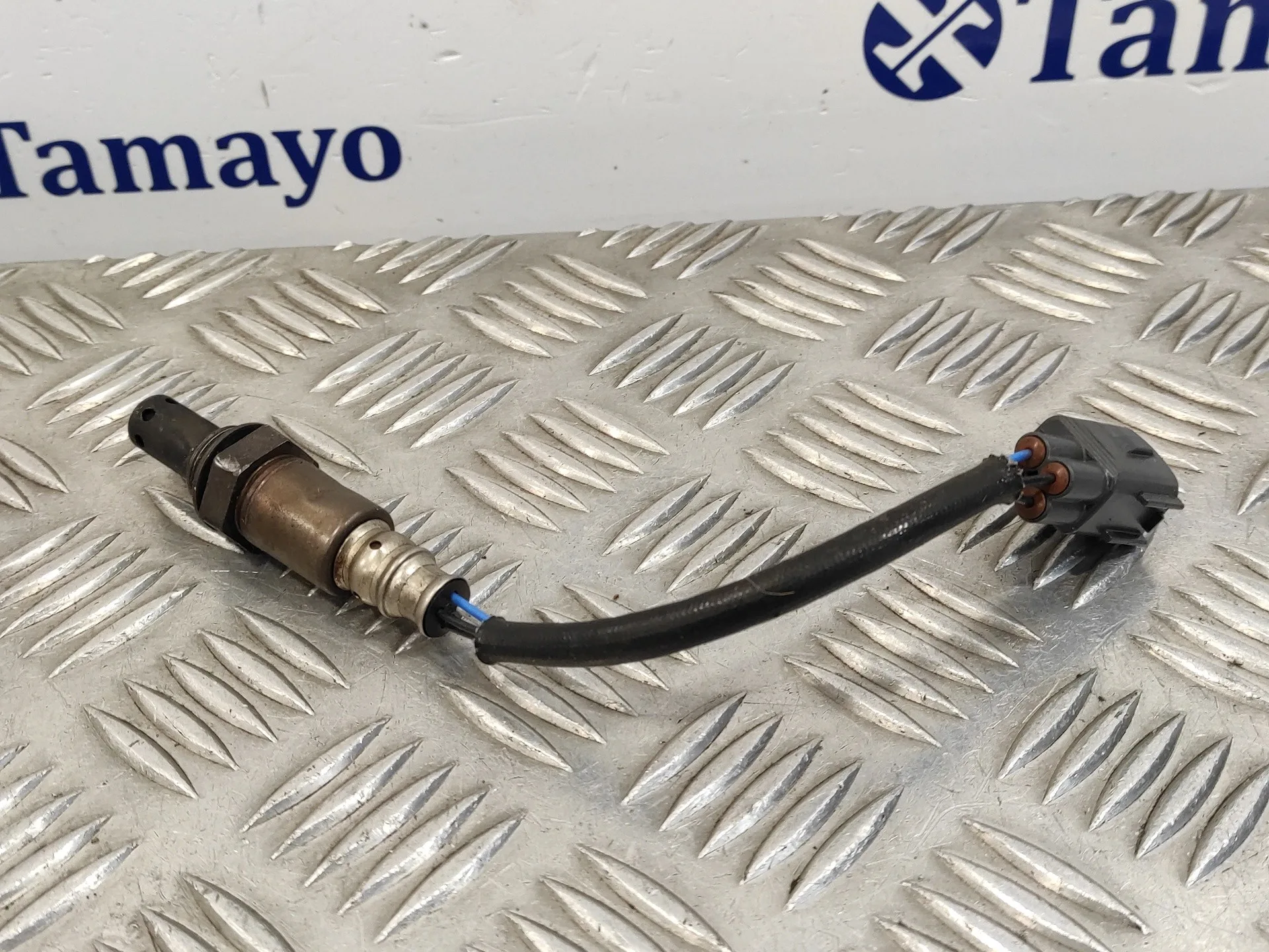 Sonda Lambda para Lexus Gs (Gs/Us/Ws19)
