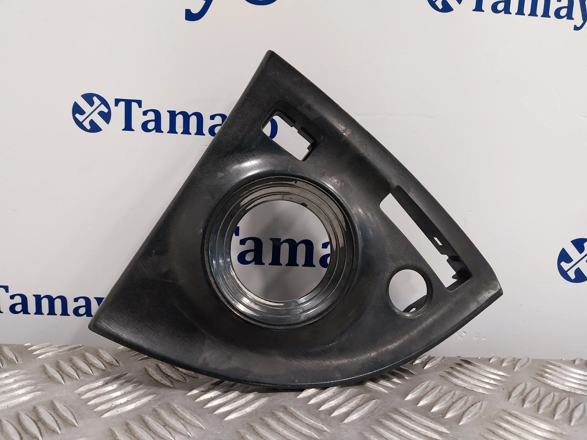 Moldura para Toyota Prius (Nhw30)