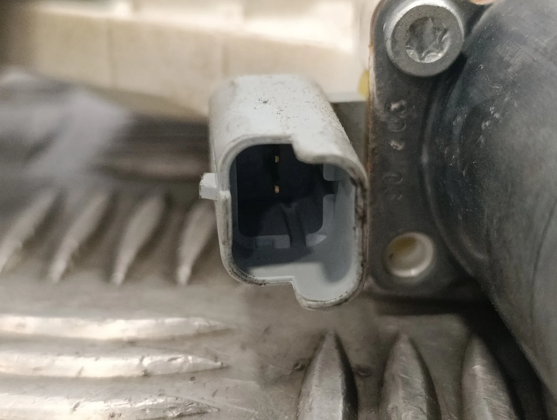 Elevalunas Delantero Derecho para Nissan Micra (K12E)