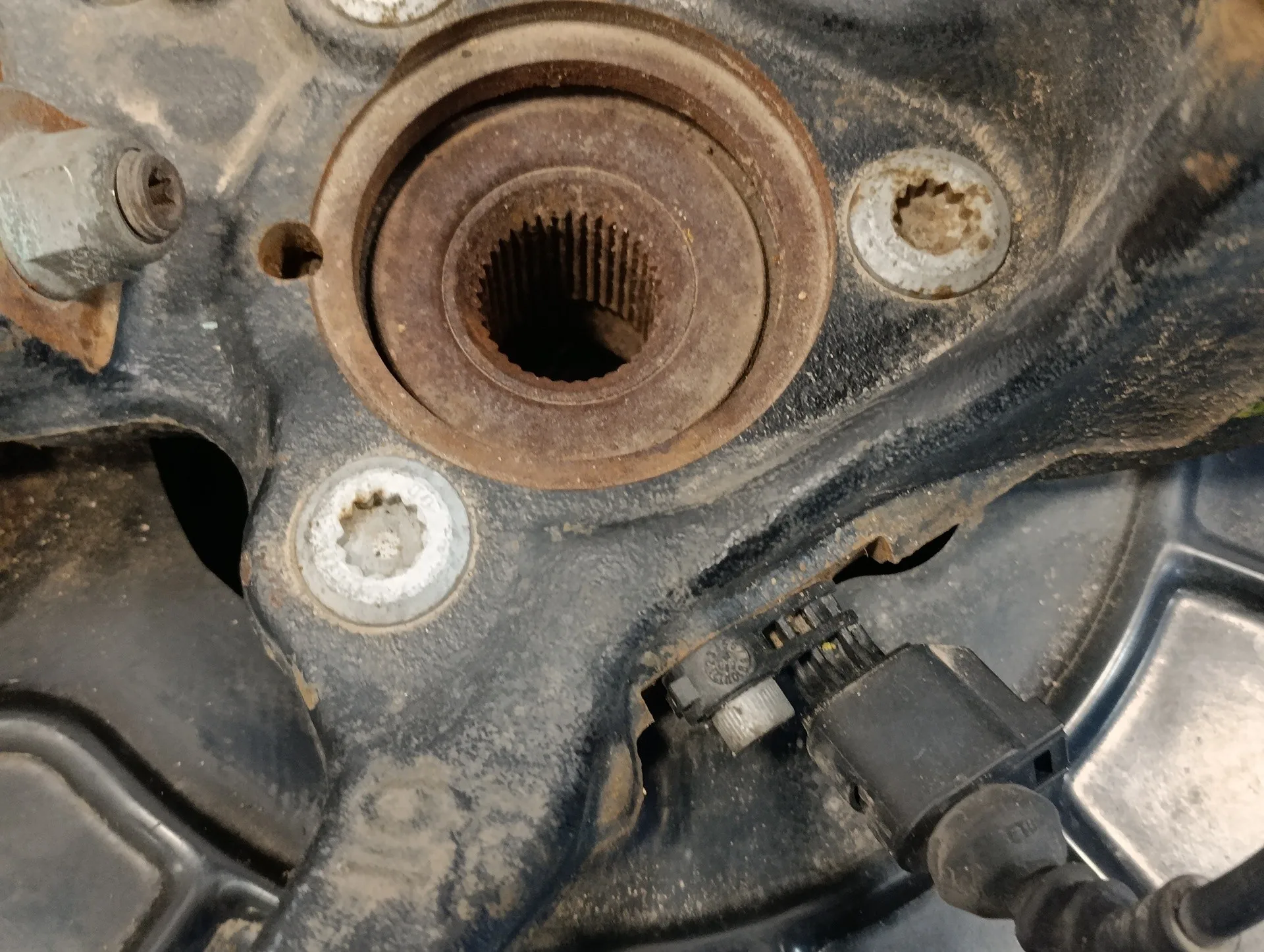 Mangueta Delantera Derecha para Skoda Octavia Berlina (1Z3)