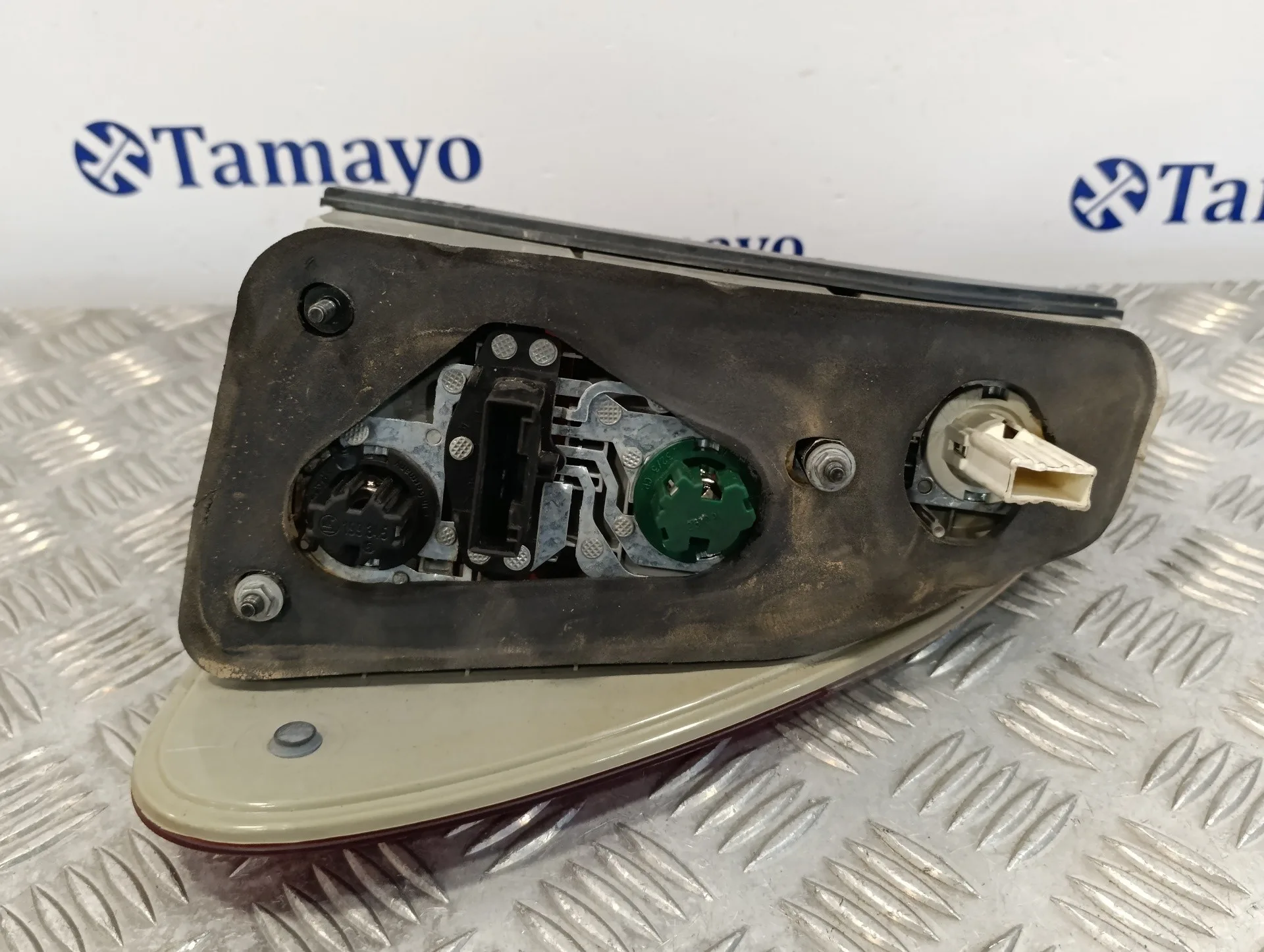 Piloto Trasero Izquierdo para Bmw X5 (E53)