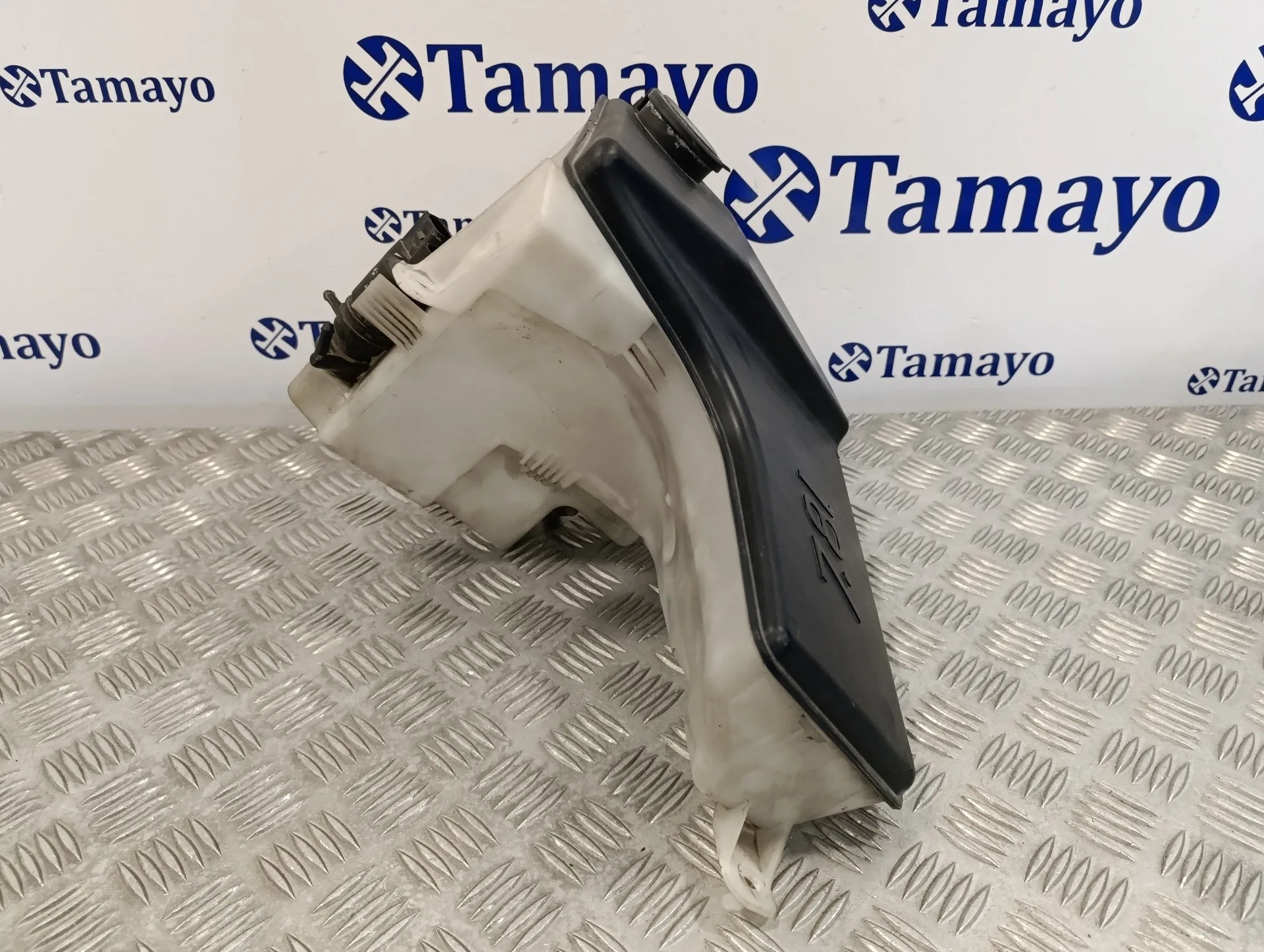 Deposito Limpia para Bmw X5 (E53)