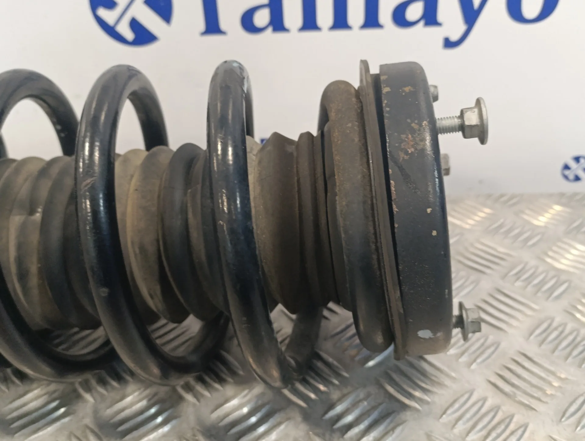 Amortiguador Delantero Derecho para Bmw X5 (E53)