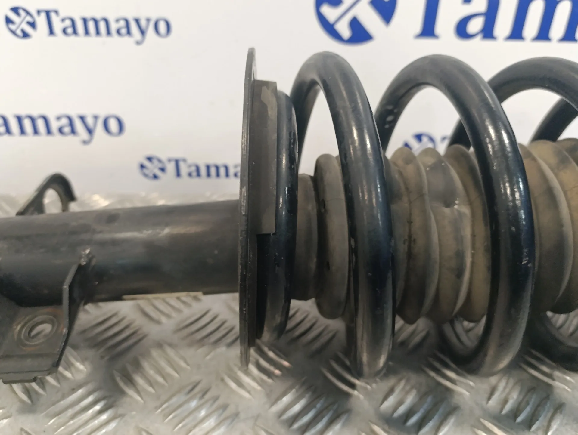 Amortiguador Delantero Derecho para Bmw X5 (E53)