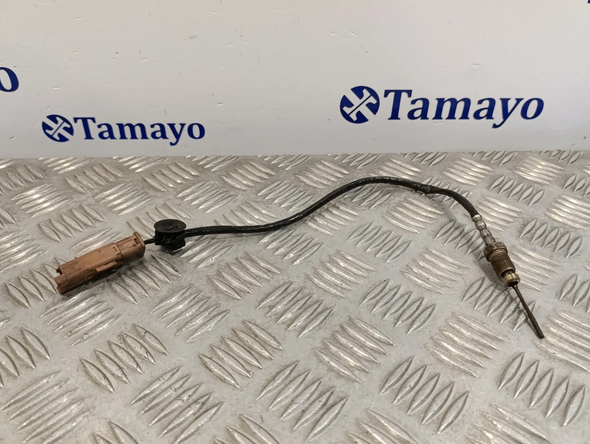 Sonda Lambda para Peugeot Partner Kombi