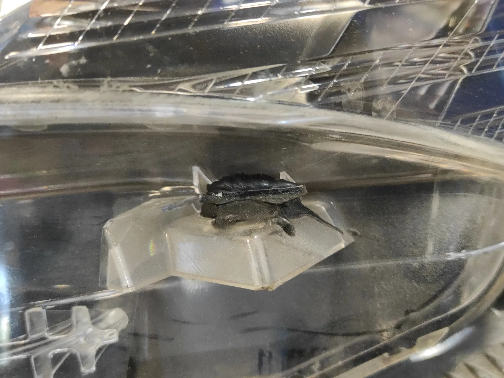 Faro Izquierdo para Toyota Avensis (T27)