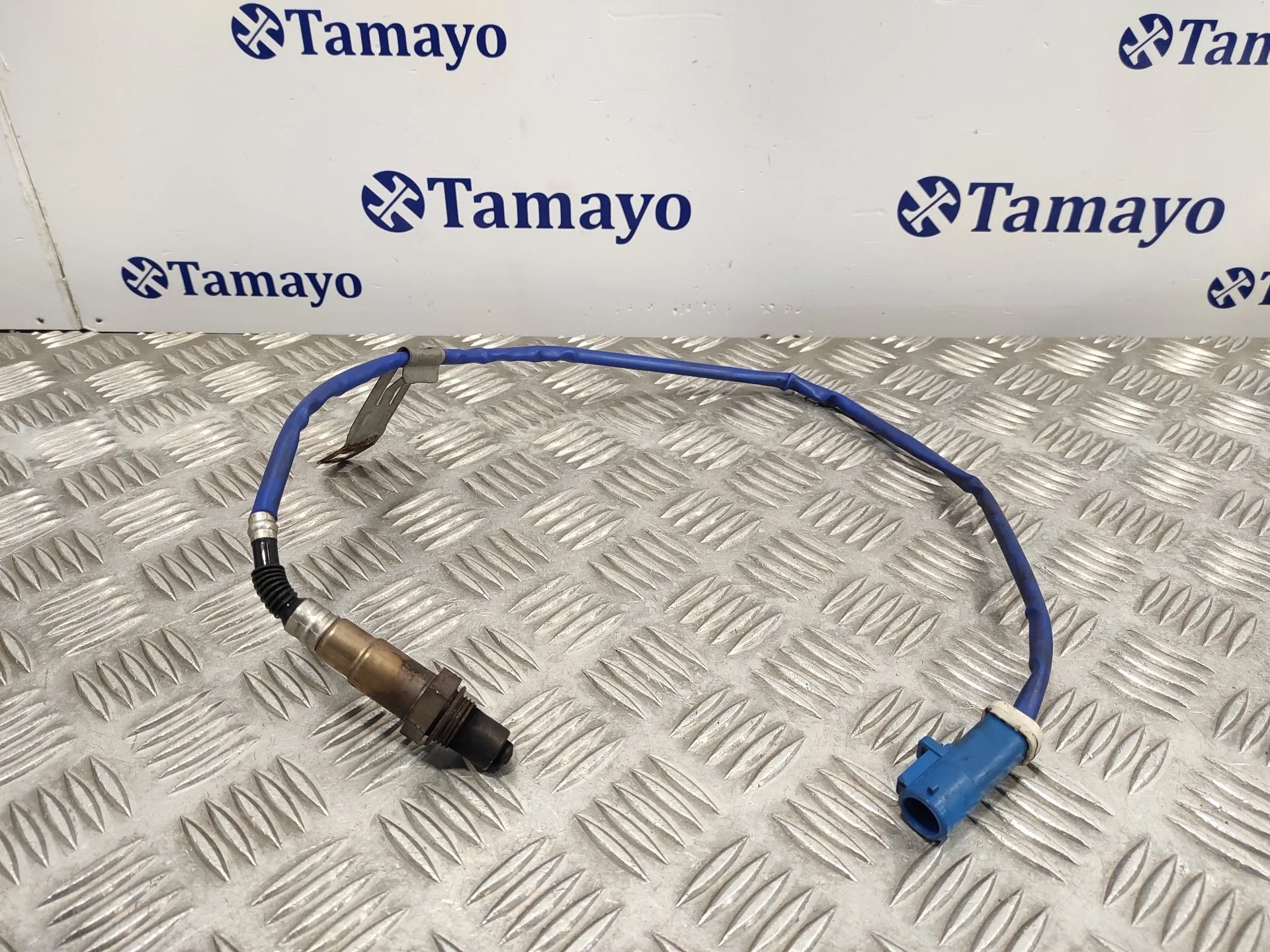 Sonda Lambda para Ford C-Max