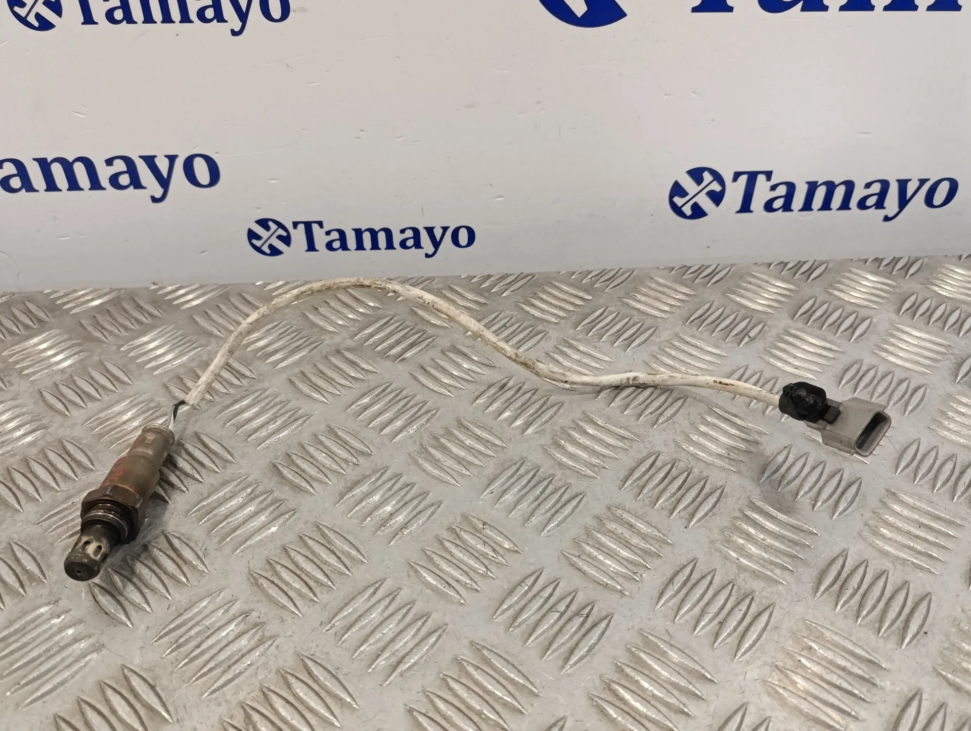 Sonda Lambda para Dacia Lodgy